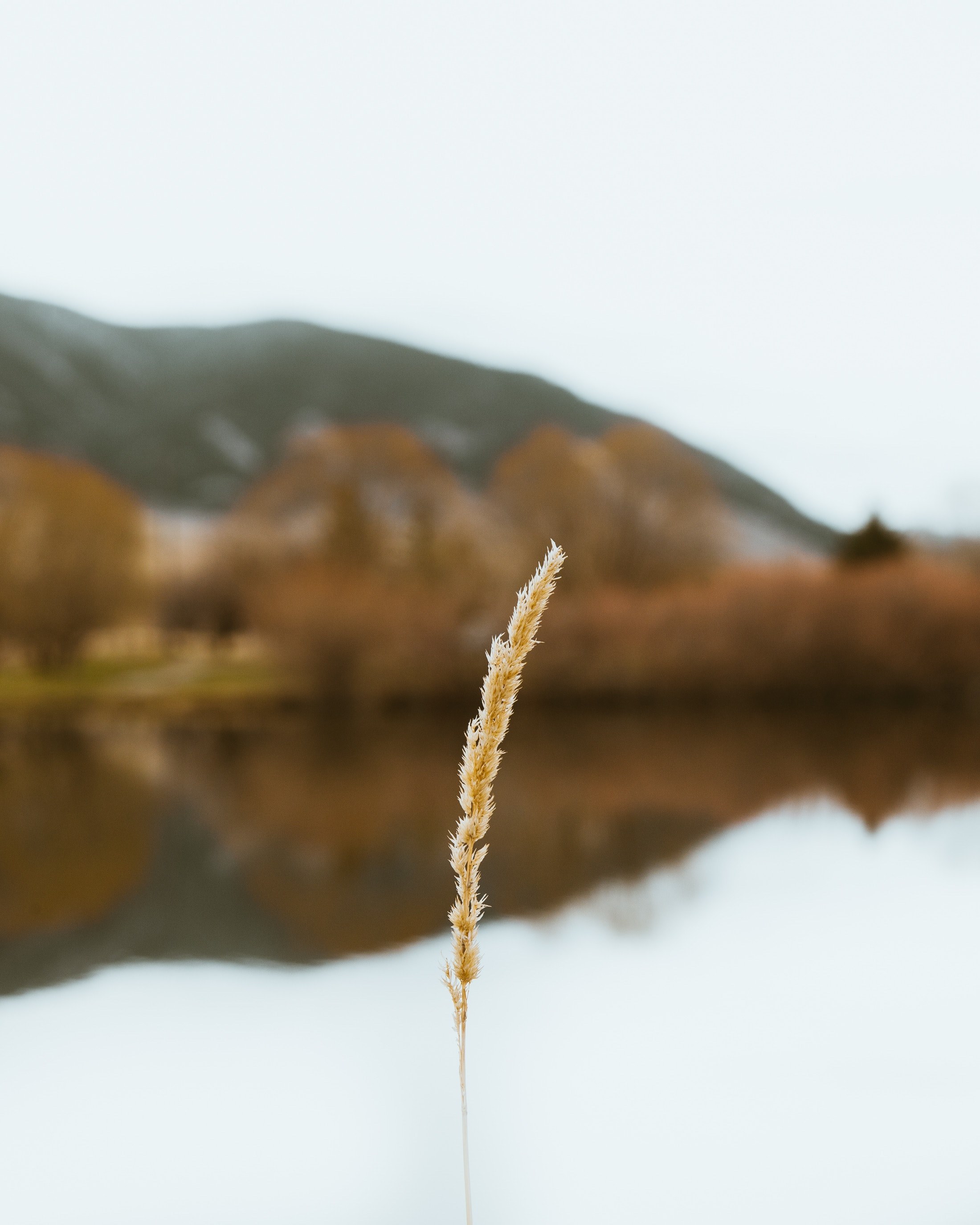 quiet montana 4k, Phone HD Wallpaper