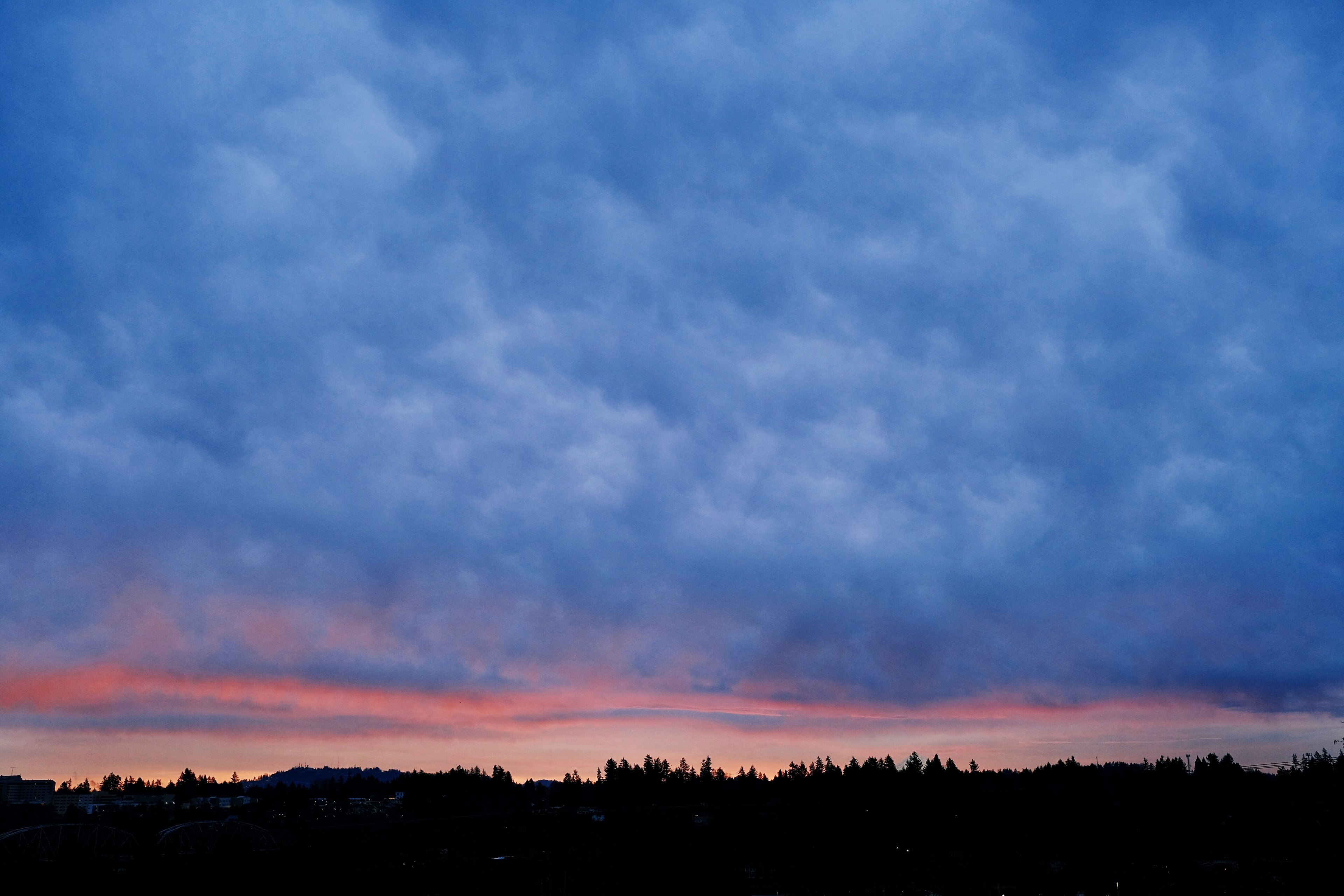 timing is everything 4k, HD Wallpaper