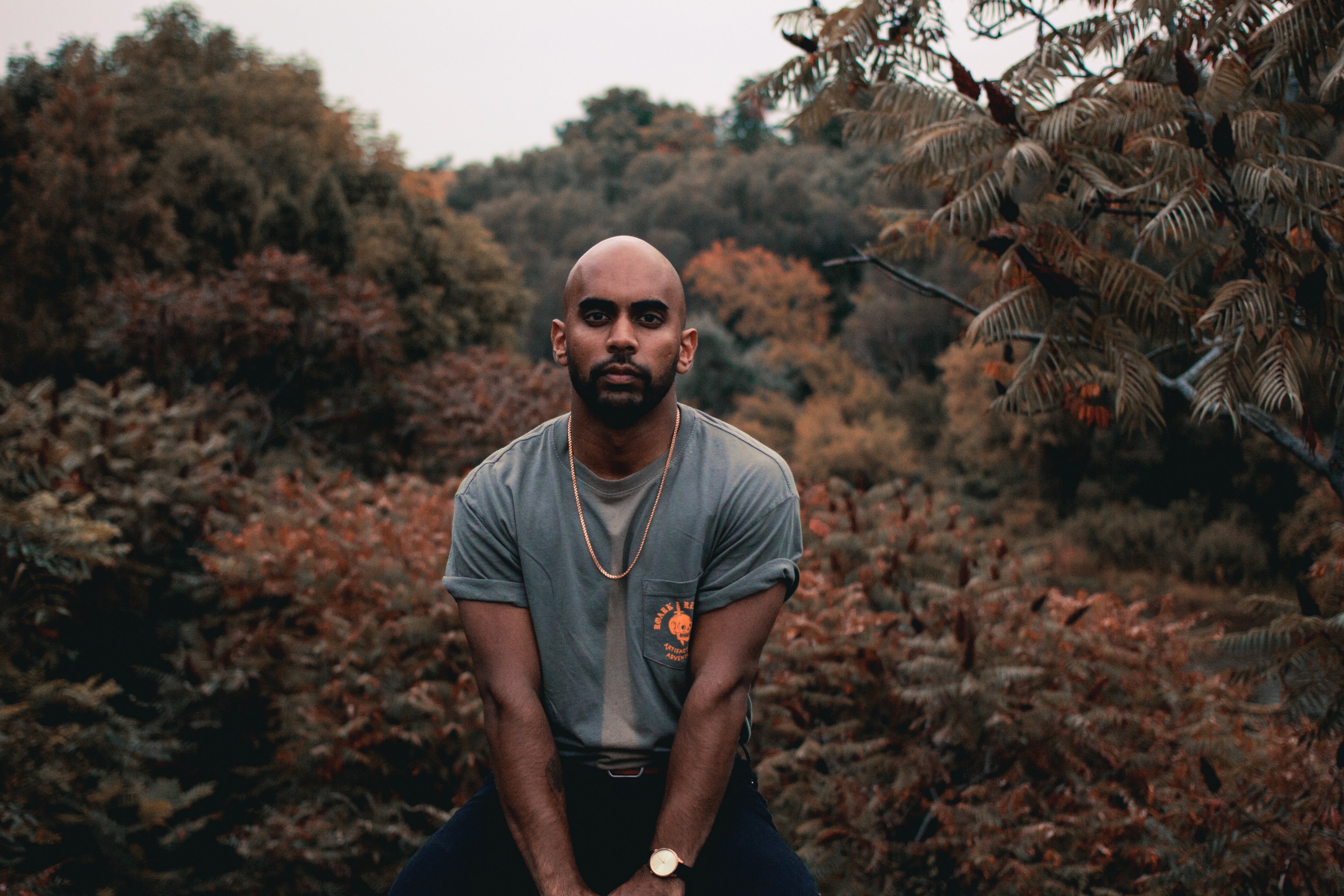 a bearded man seated among trees and bushes, bearded man in the wilderness 4k, HD Wallpaper