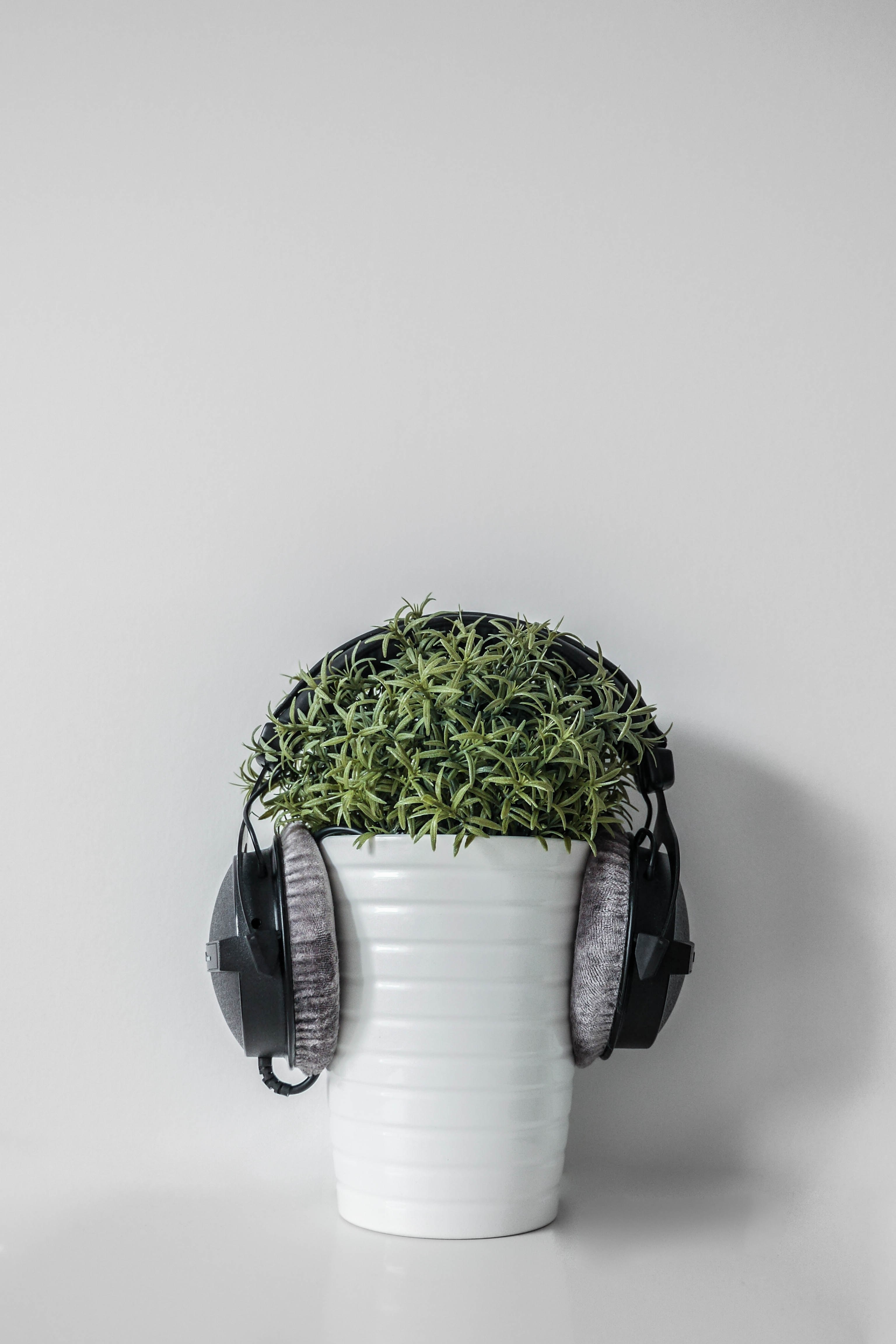 minimalism lonely loud and phone hd, 4k, Phone HD Wallpaper