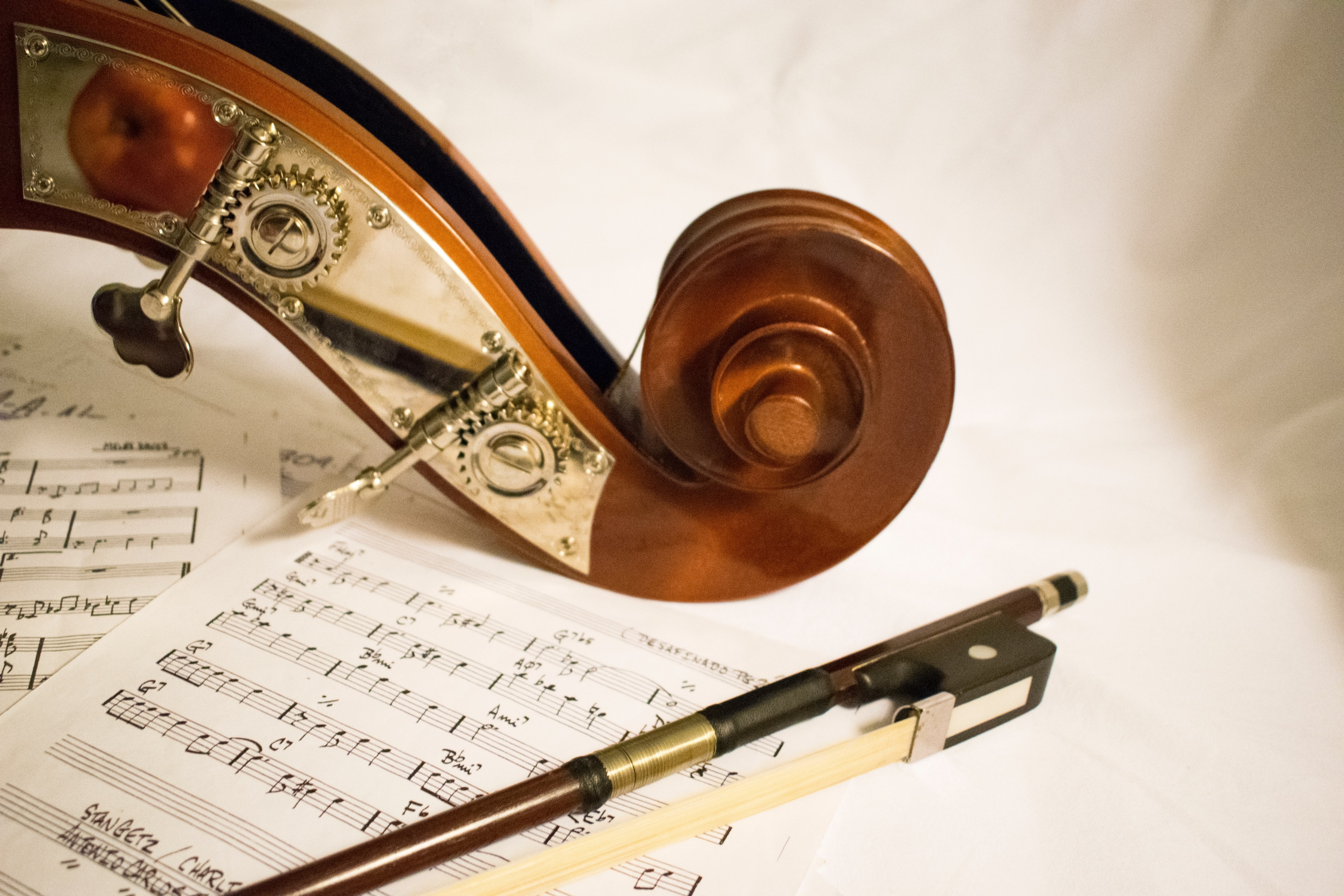 msica arco instrumento and contrabajo 4k, HD Wallpaper