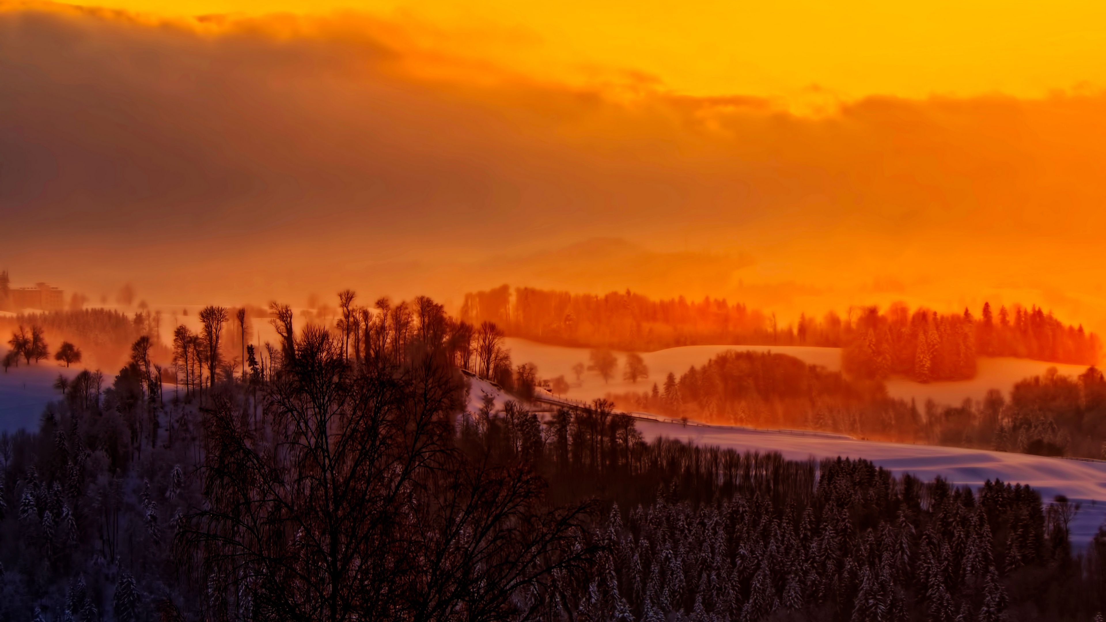 trees, sunset, winter, sky, 4k, HD Wallpaper