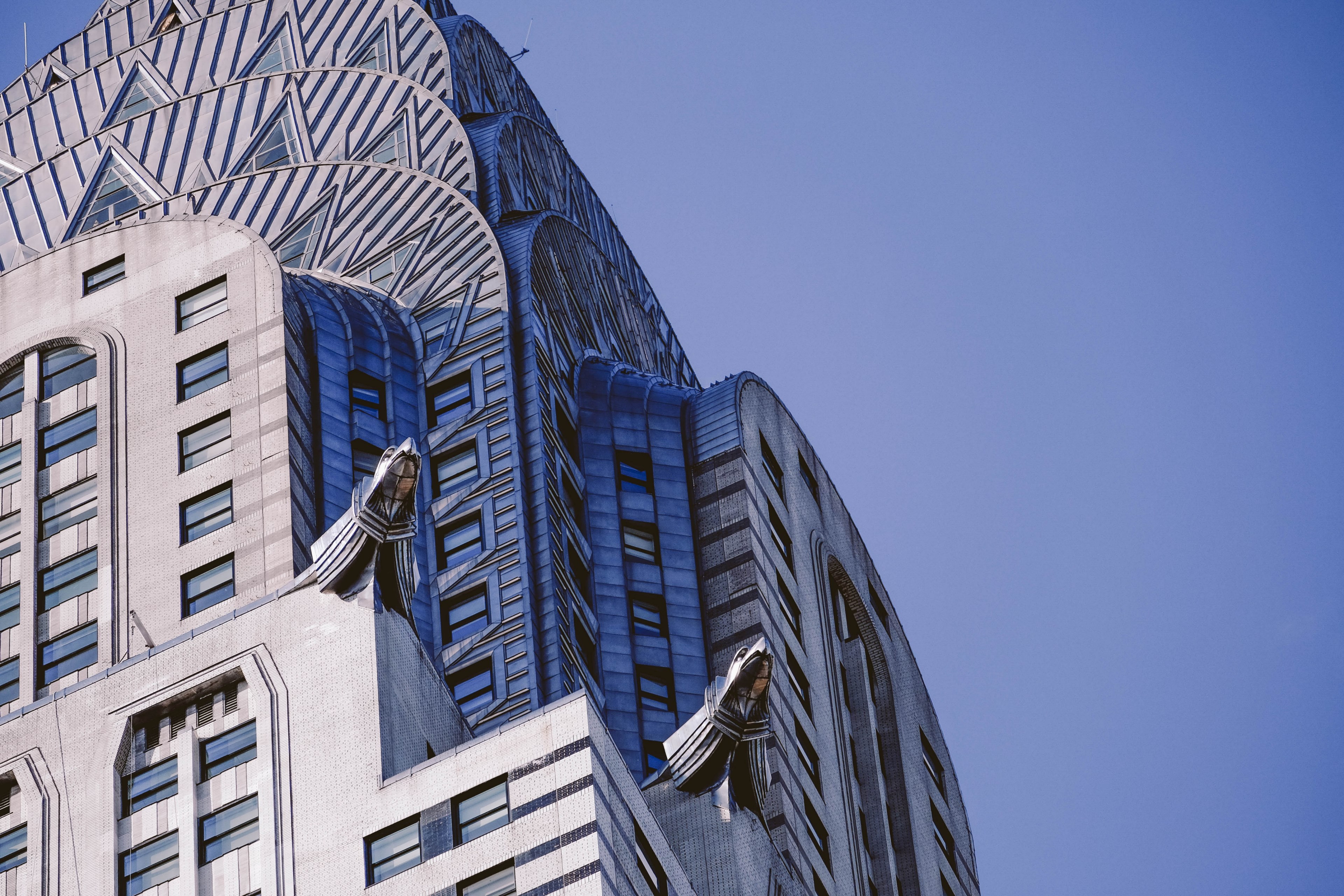 angle shot of skyscraper with gargoyles and windows in new york with clear blue sky, gargoyle windows in new york 4k, HD Wallpaper
