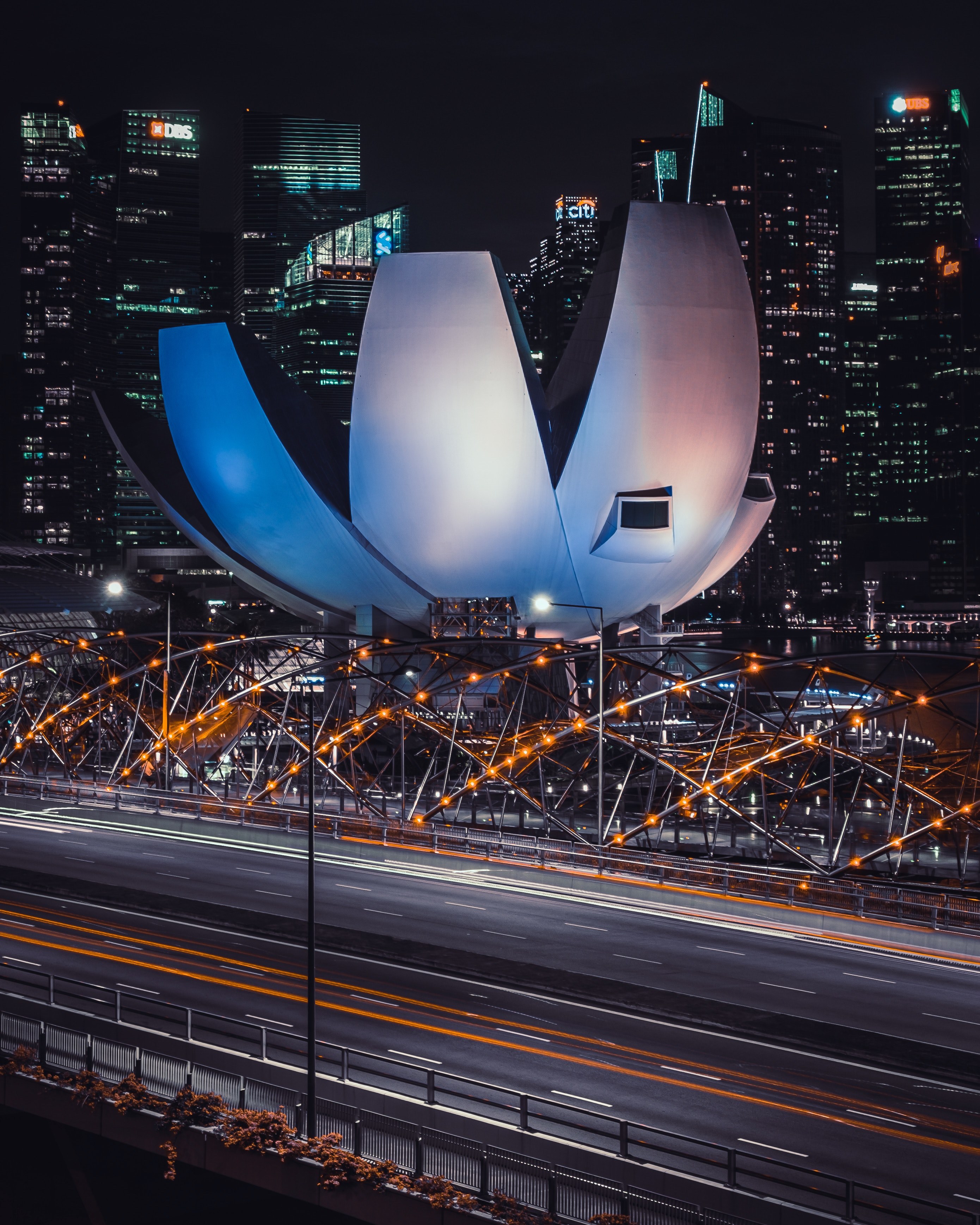 lotus night singapore 4k, Phone HD Wallpaper