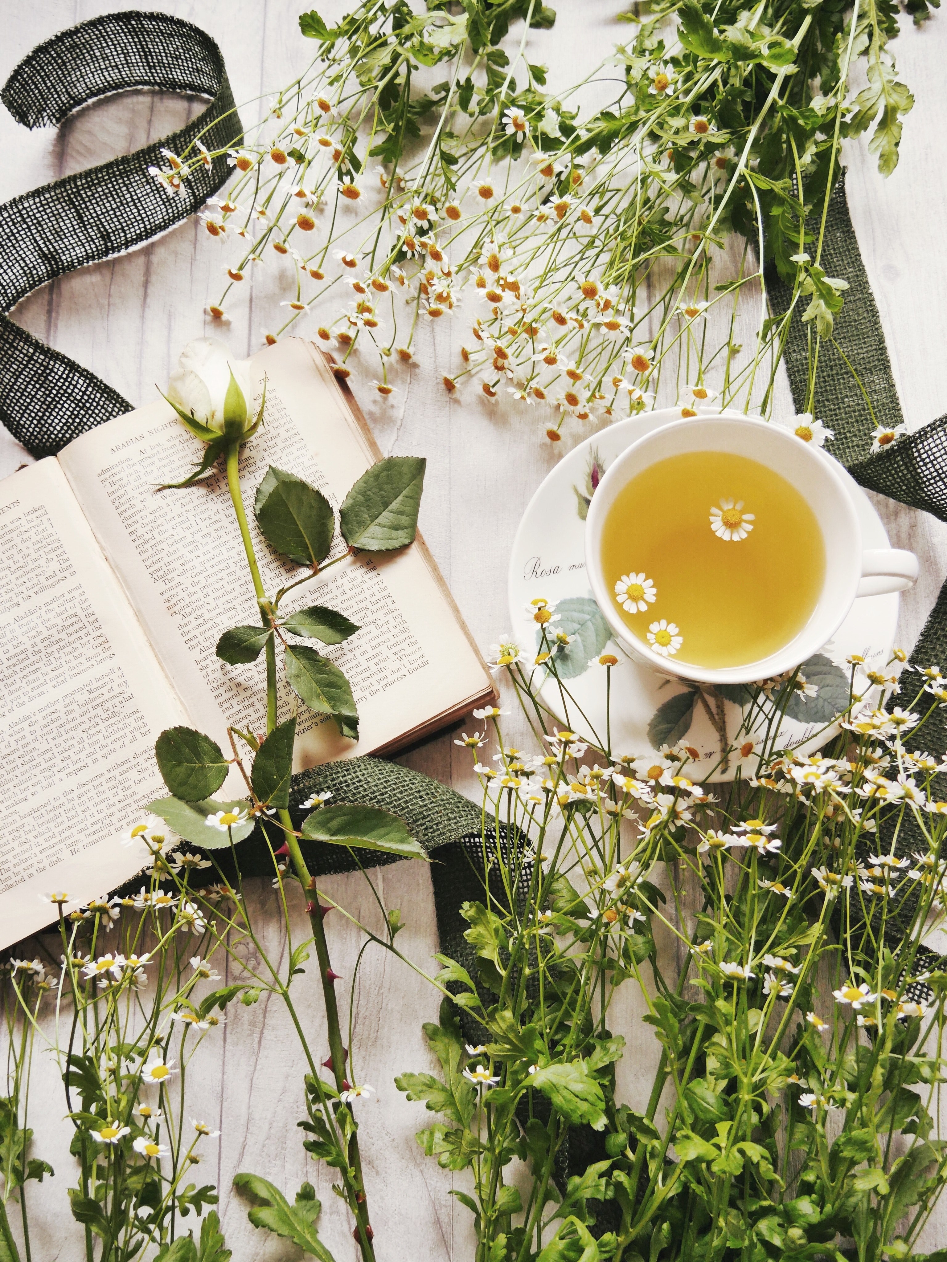 chamomile kisses 4k, Phone HD Wallpaper