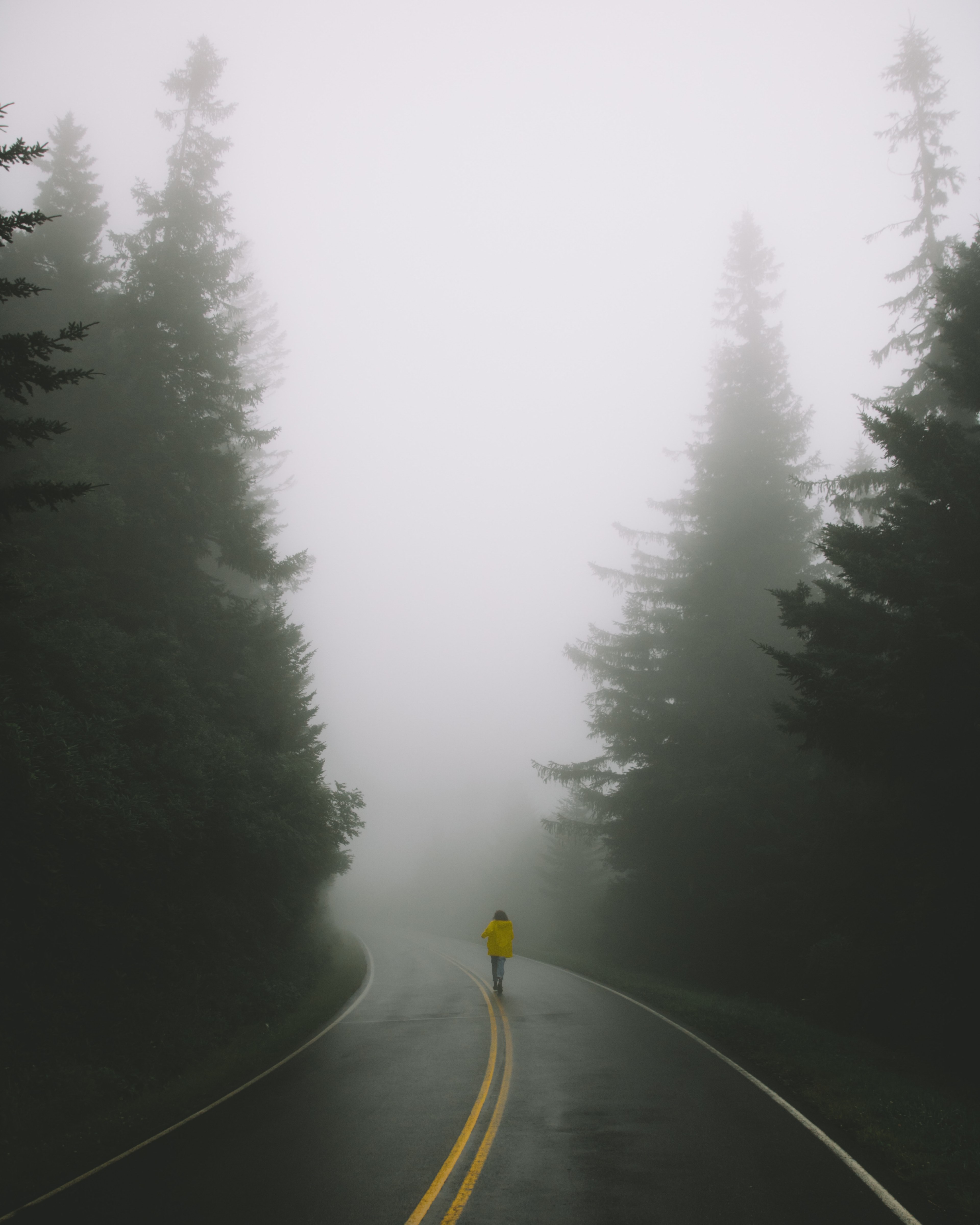 road mist fog and cloud hd, 4k, Phone HD Wallpaper