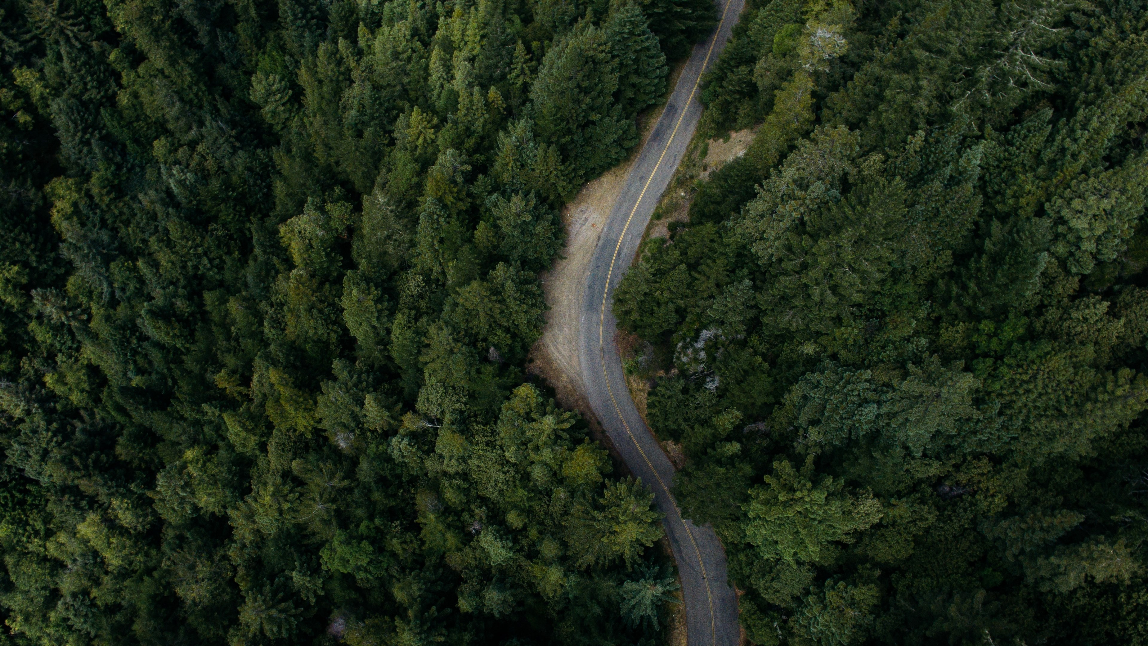 a drone view of a road that cuts through the forest in annapolis california united states, bend in an empty forest road 4k, HD Wallpaper