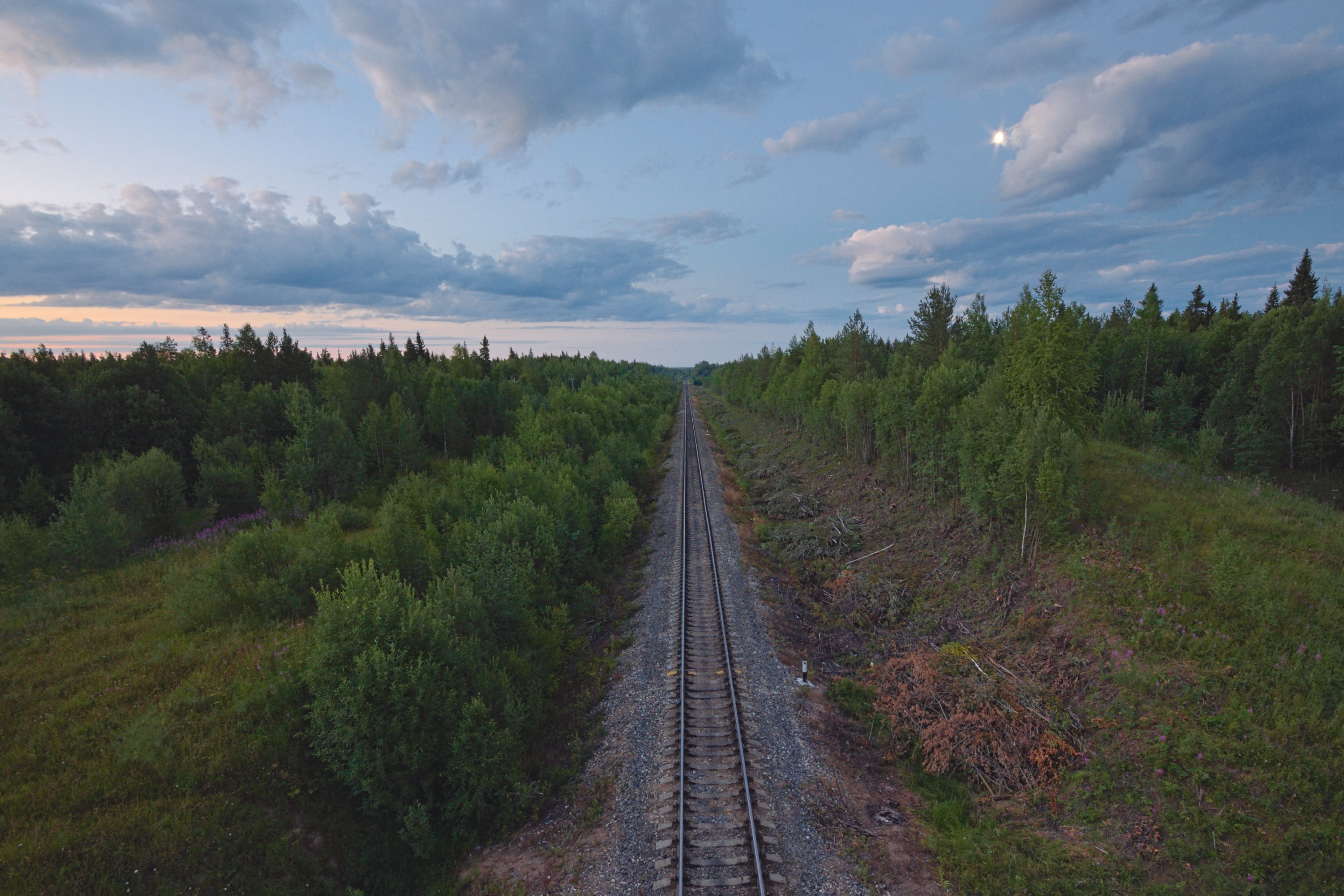 a drone view of a railroad passing through an empty forest in arhangelskaya oblast rossiya, russian forest railway 4k, HD Wallpaper