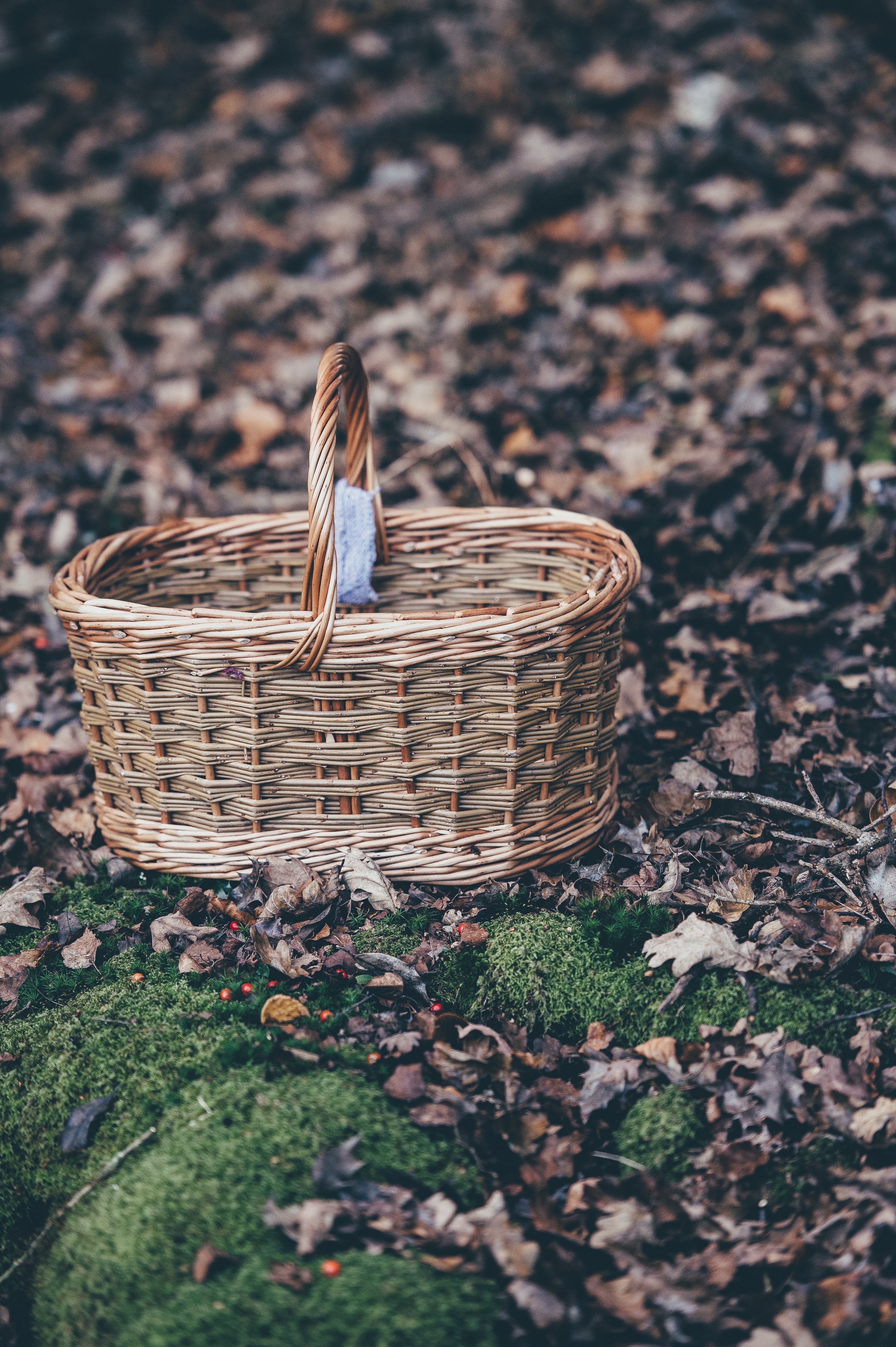 wicker picnic basket sitting on the forest floor, picnic in the woods 4k, Phone HD Wallpaper