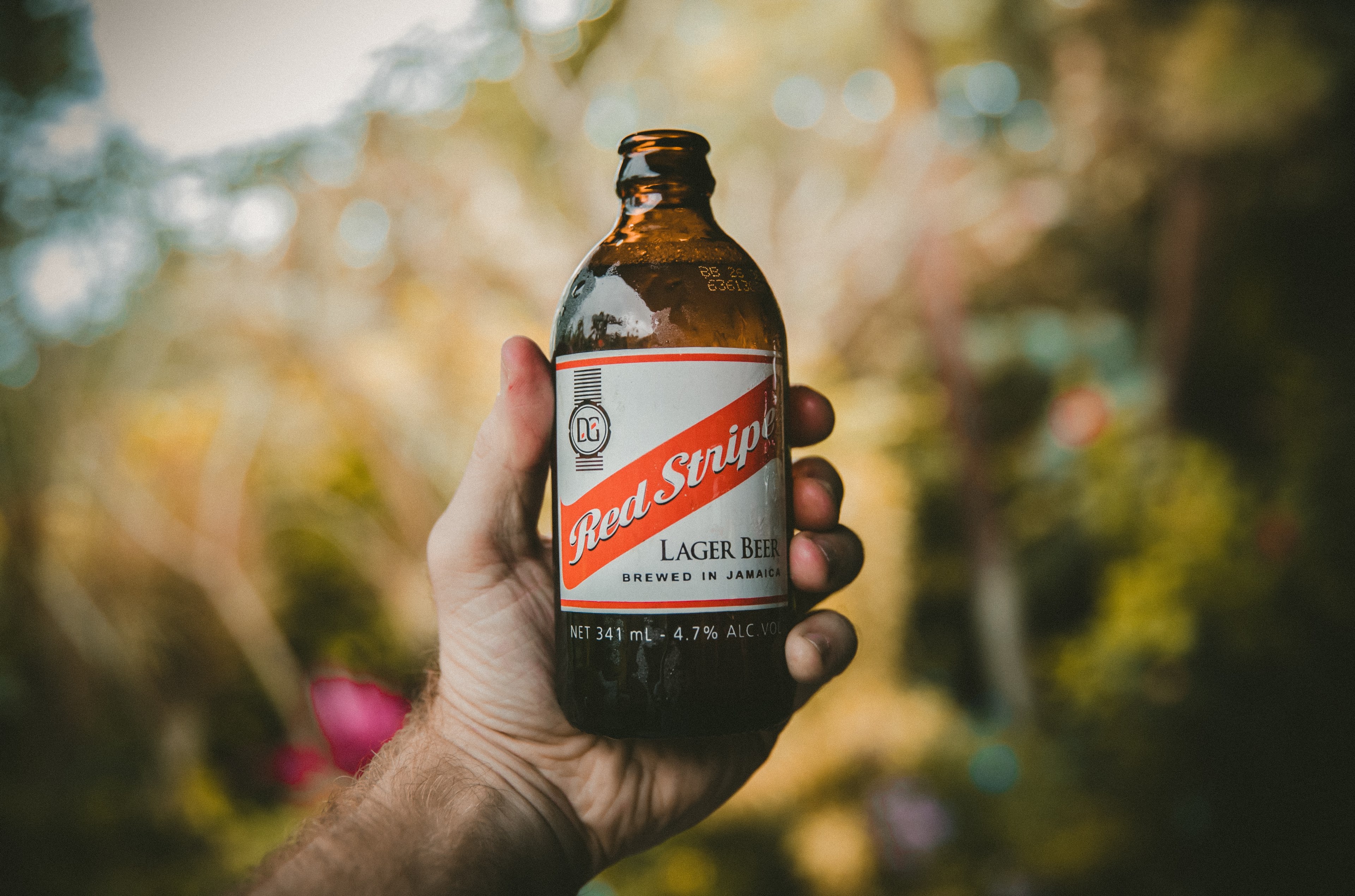 a man holding a red stripe beer in a glass bottle in jamaica, red stripe 4k, HD Wallpaper