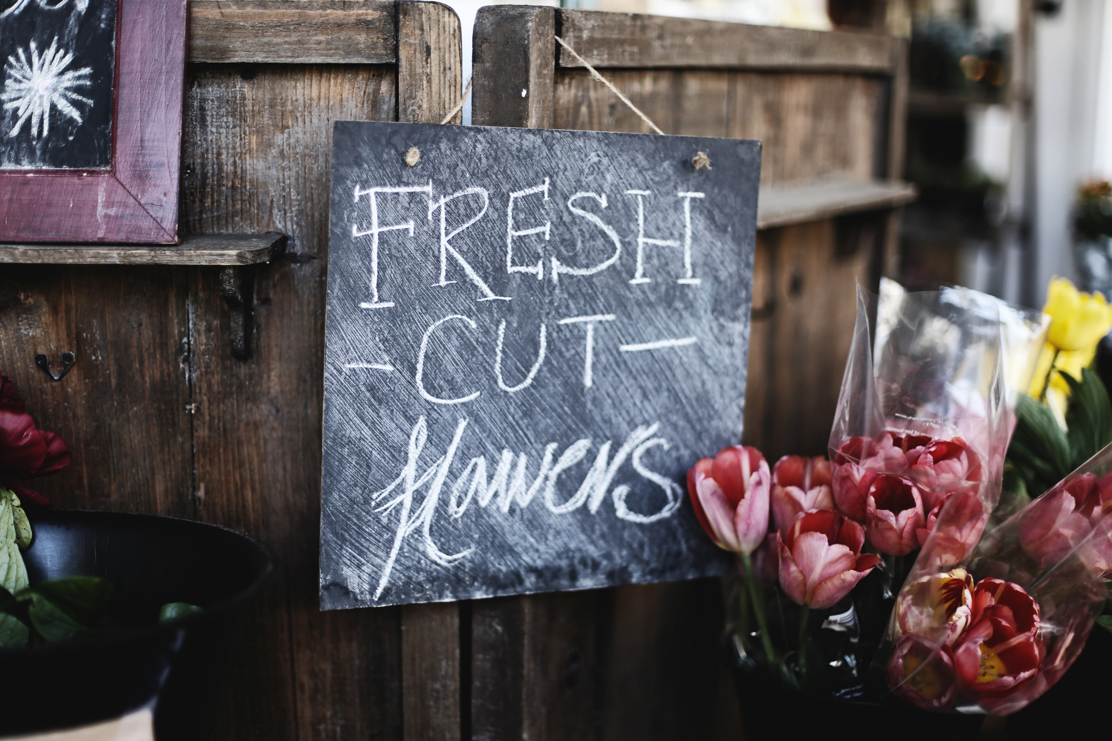 a blackboard reading fresh cut flowers next to a bucket of tulips, fresh flowers at the florists 4k, HD Wallpaper