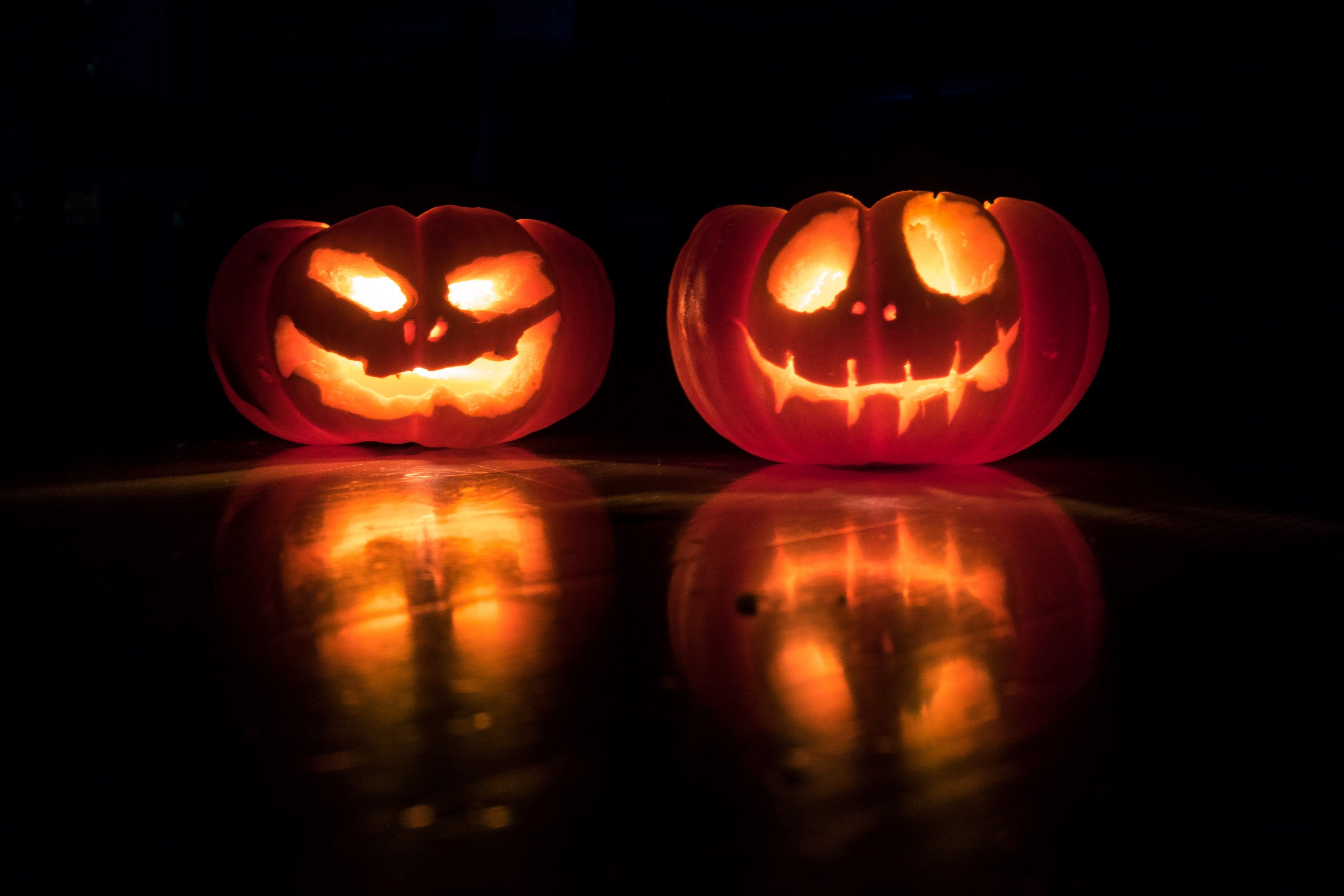pumpkin twins 4k, HD Wallpaper