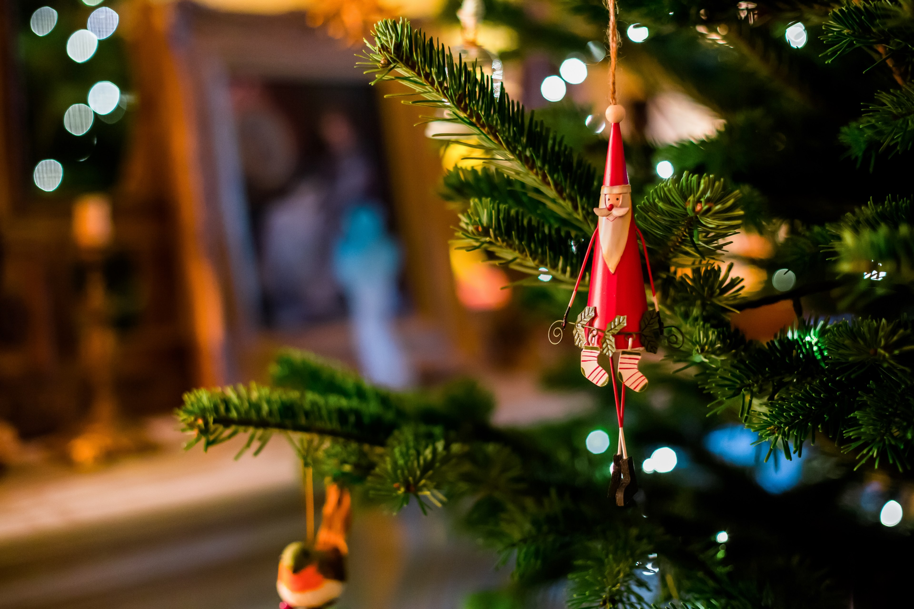 santa in the tree 4k, HD Wallpaper