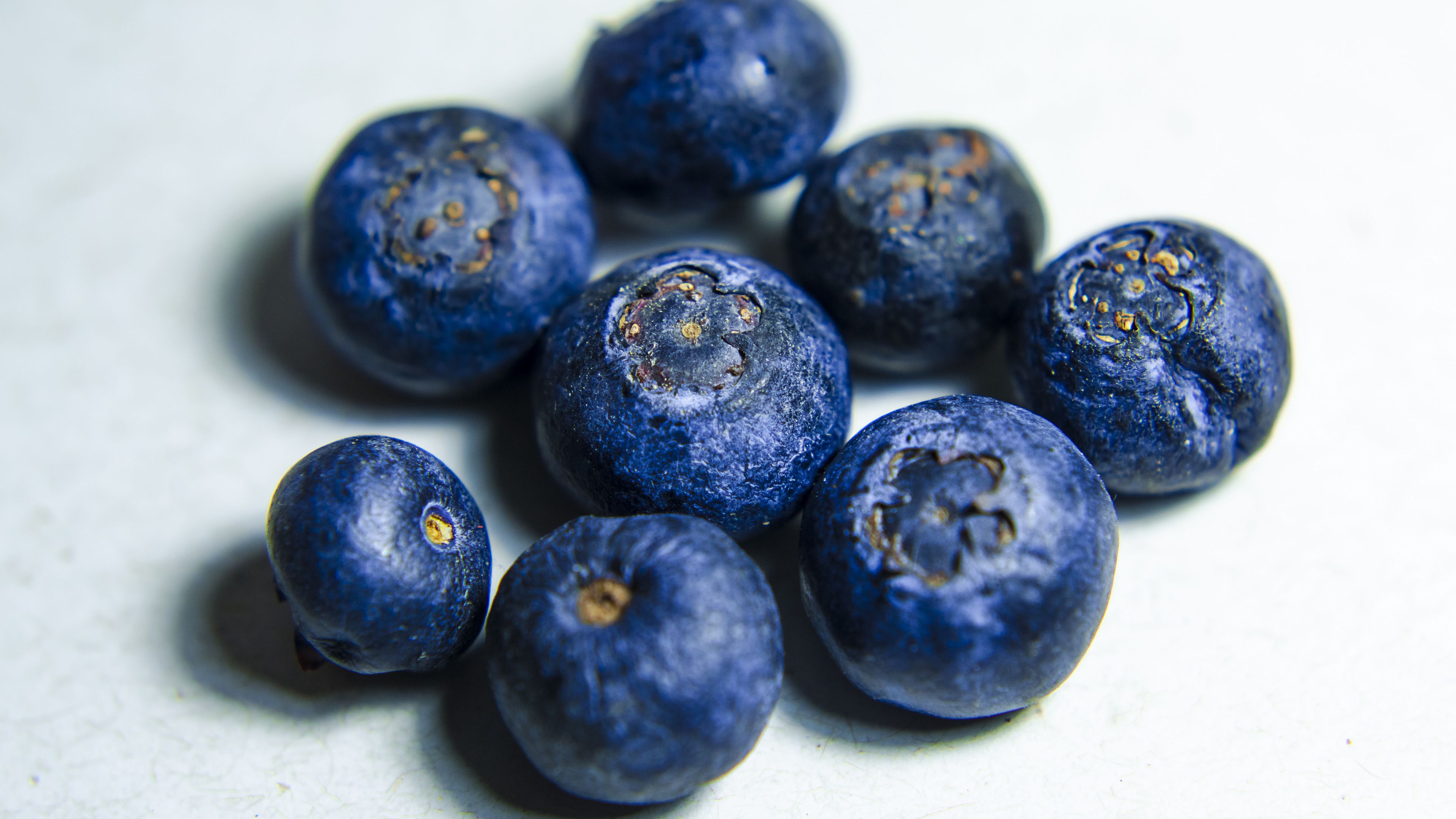 blueberries, berries, close-up, 4k, HD Wallpaper