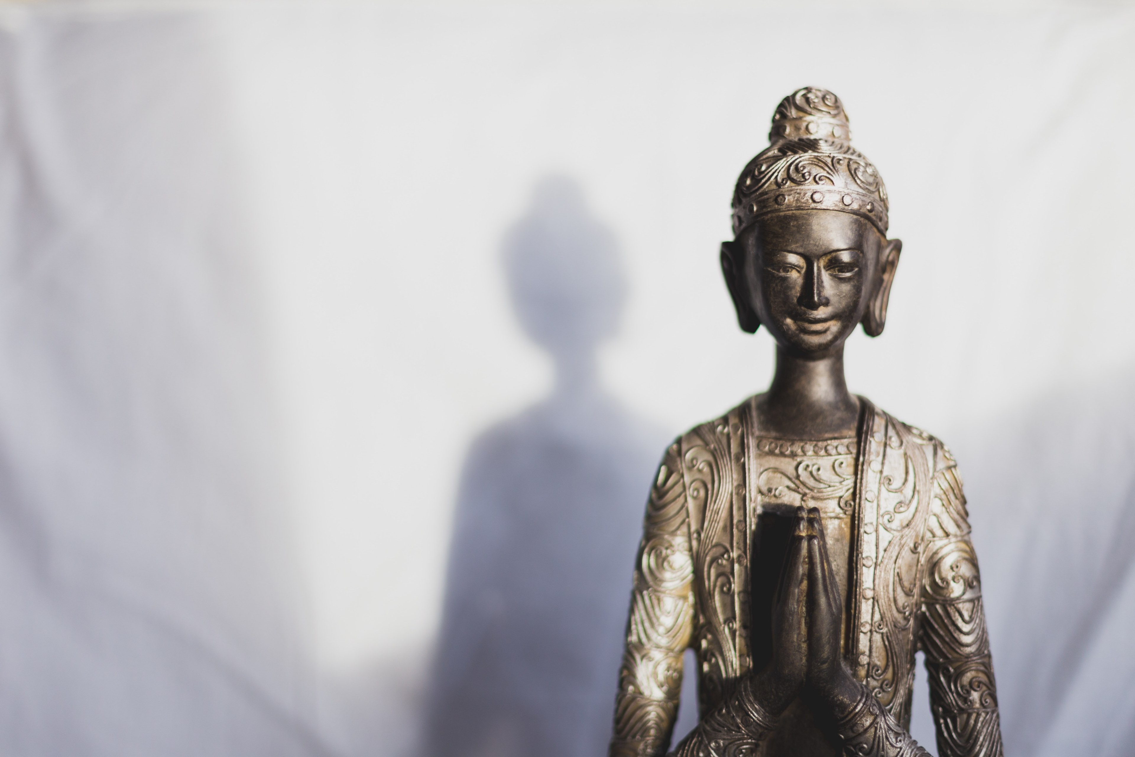 monk dharma spiritual and philosophy 4k, HD Wallpaper