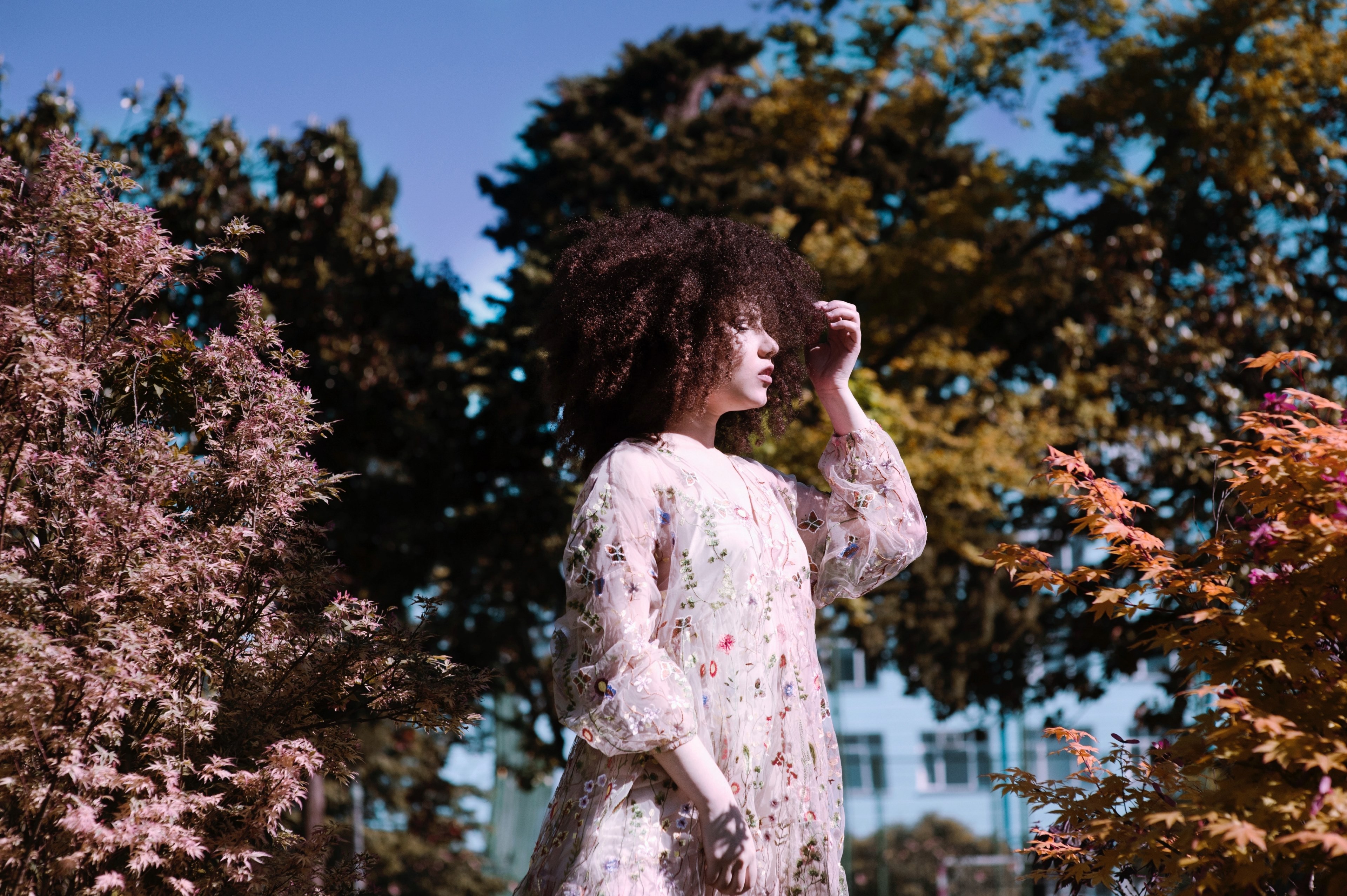 a woman in a pink dress touches her curly hair among trees in batumi, sunlight on floral face 4k, HD Wallpaper