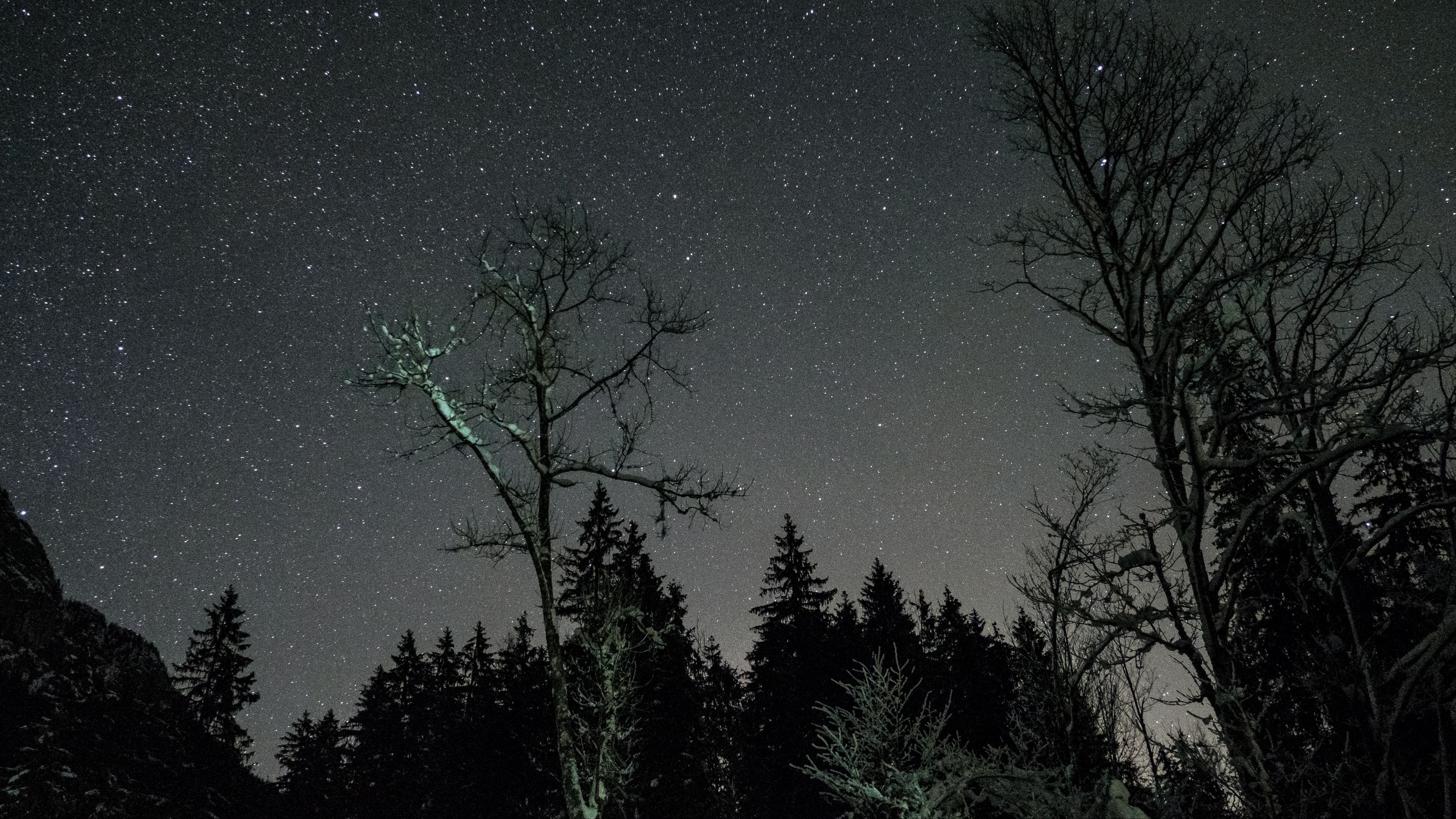 stars, night, sky, trees, 4k, HD Wallpaper