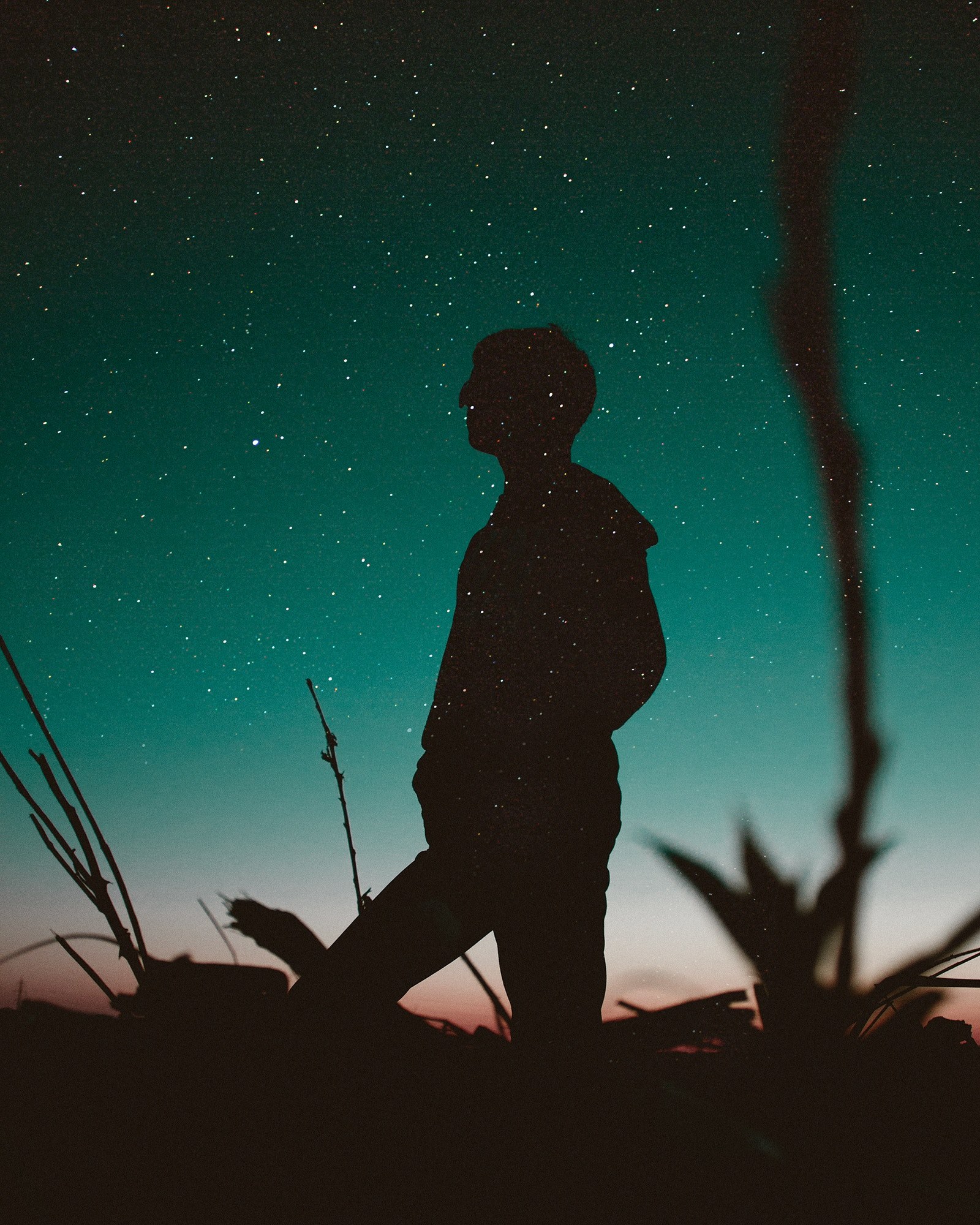 a shot from below of a person in silhouette against a starry teal night sky, untitled guy 4k, Phone HD Wallpaper