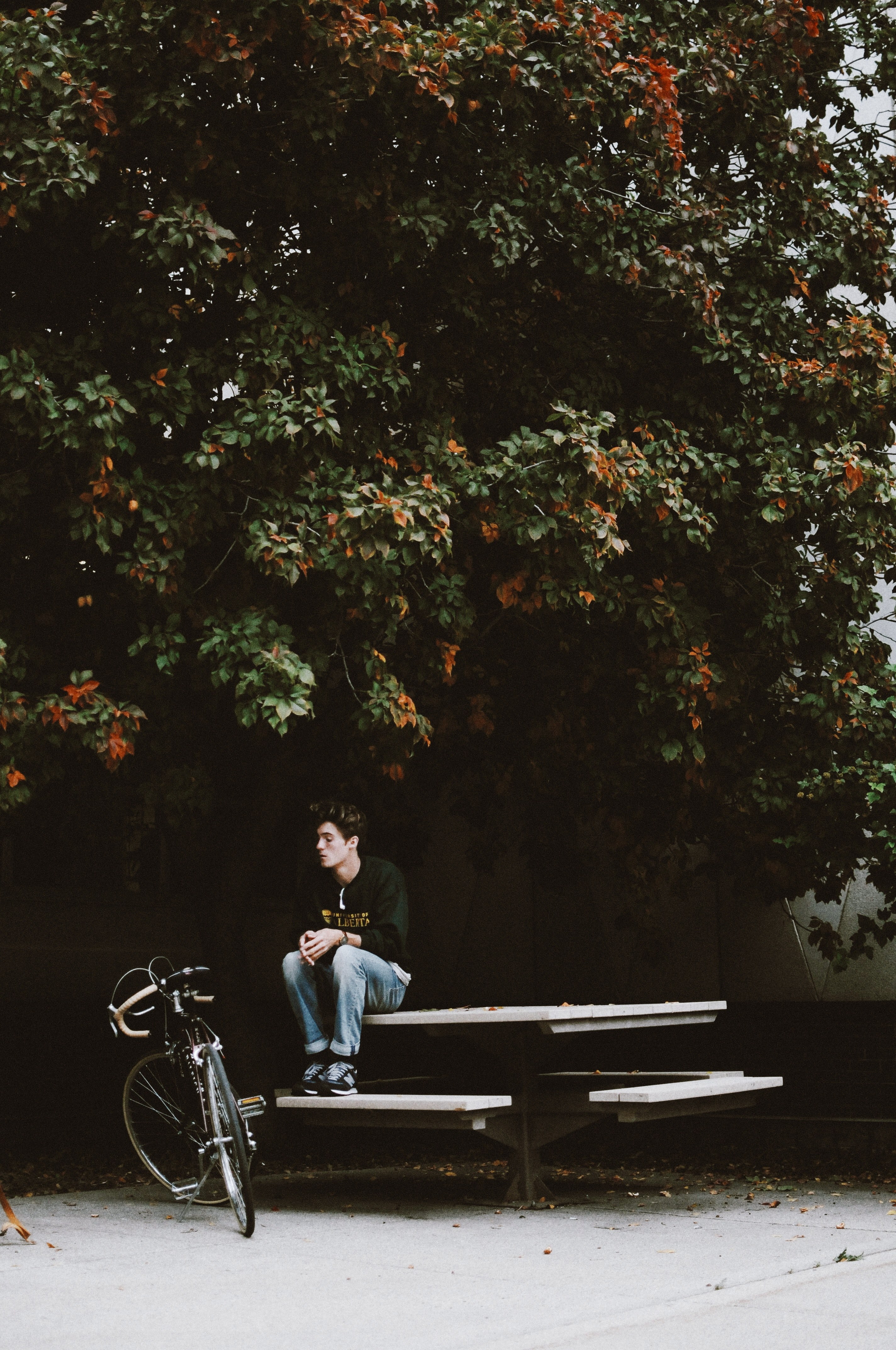 a person sitting on a picnic table next to his bicycle at the university of alberta, kid sitting on picnic table 4k, Phone HD Wallpaper