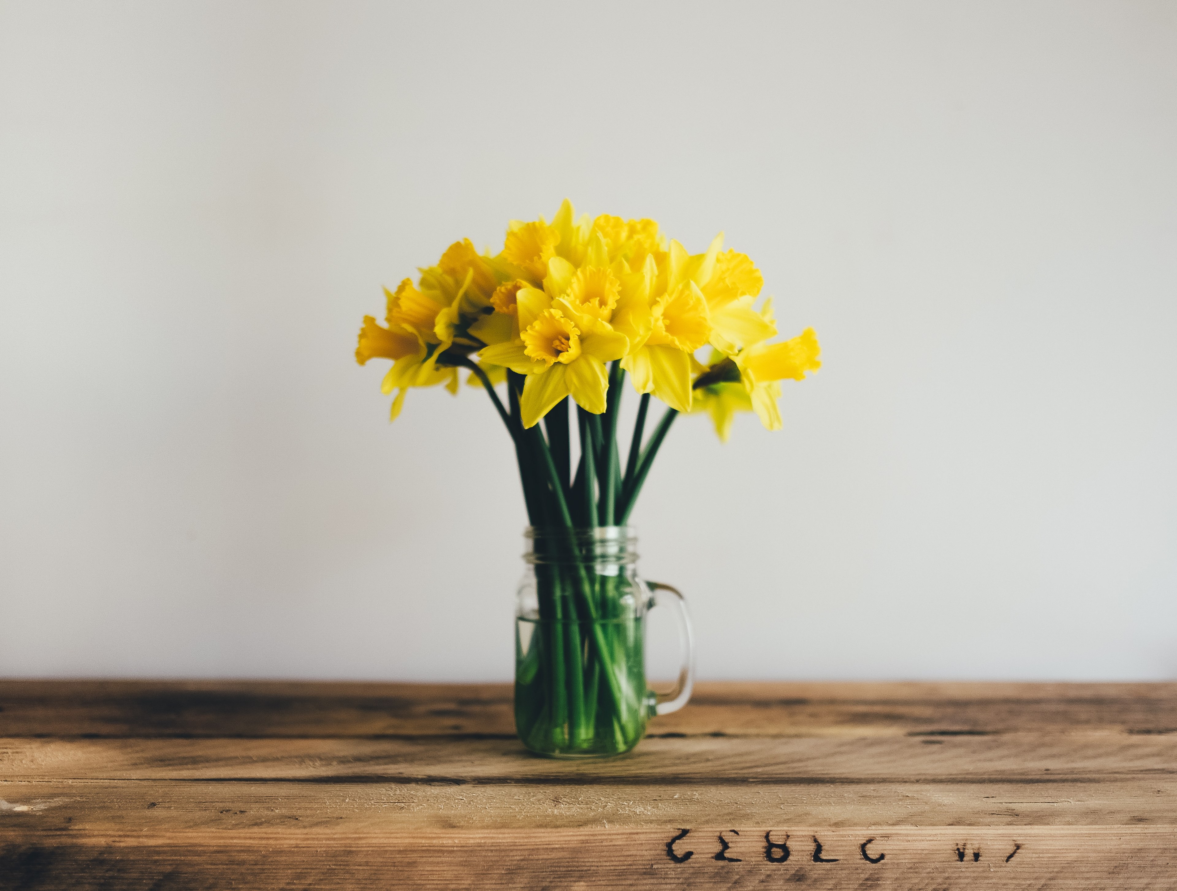 a glass jar with yellow daffodils on a wooden surface, daffodils 4k, HD Wallpaper