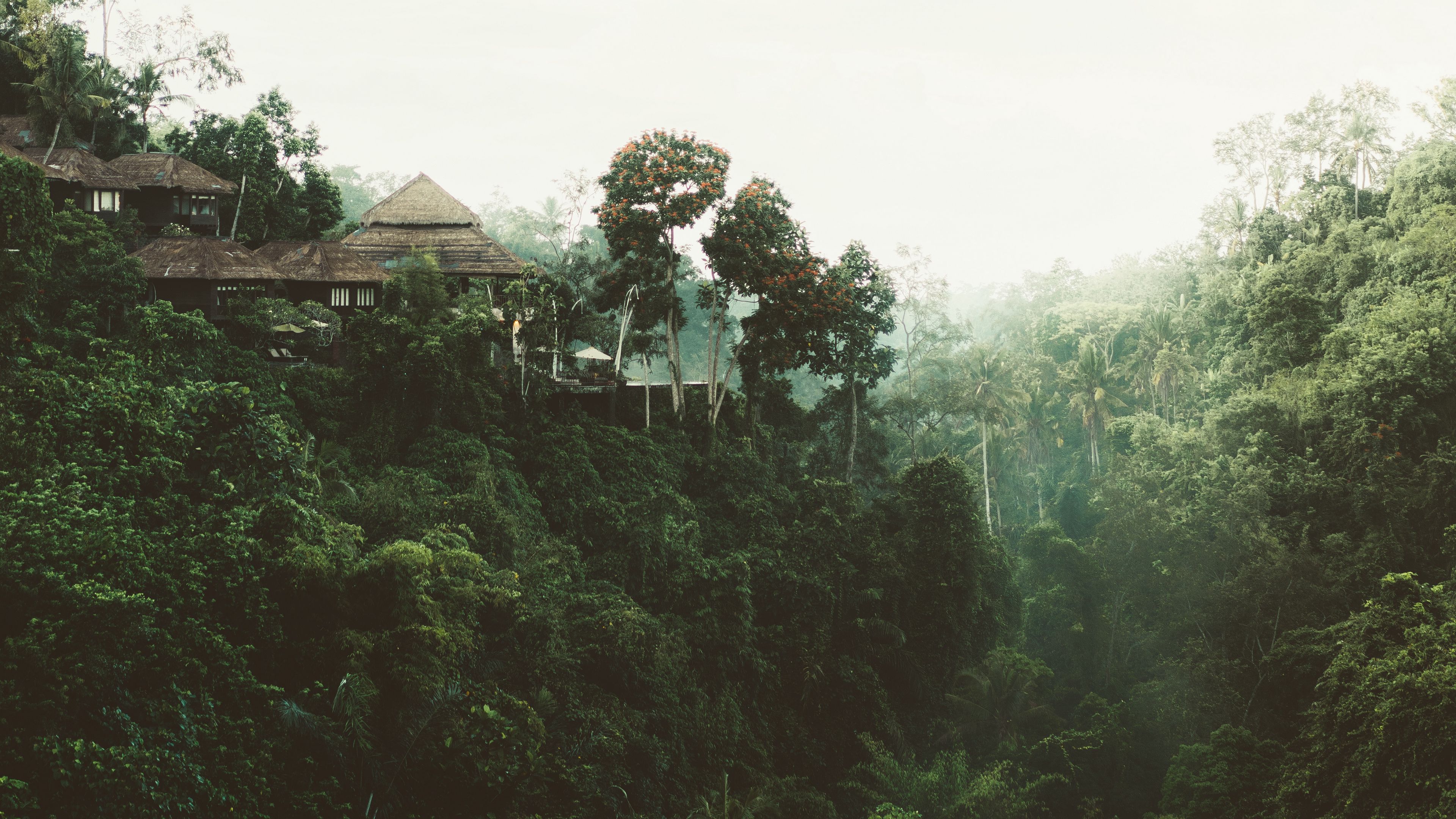 trees, cliff, building, 4k, HD Wallpaper