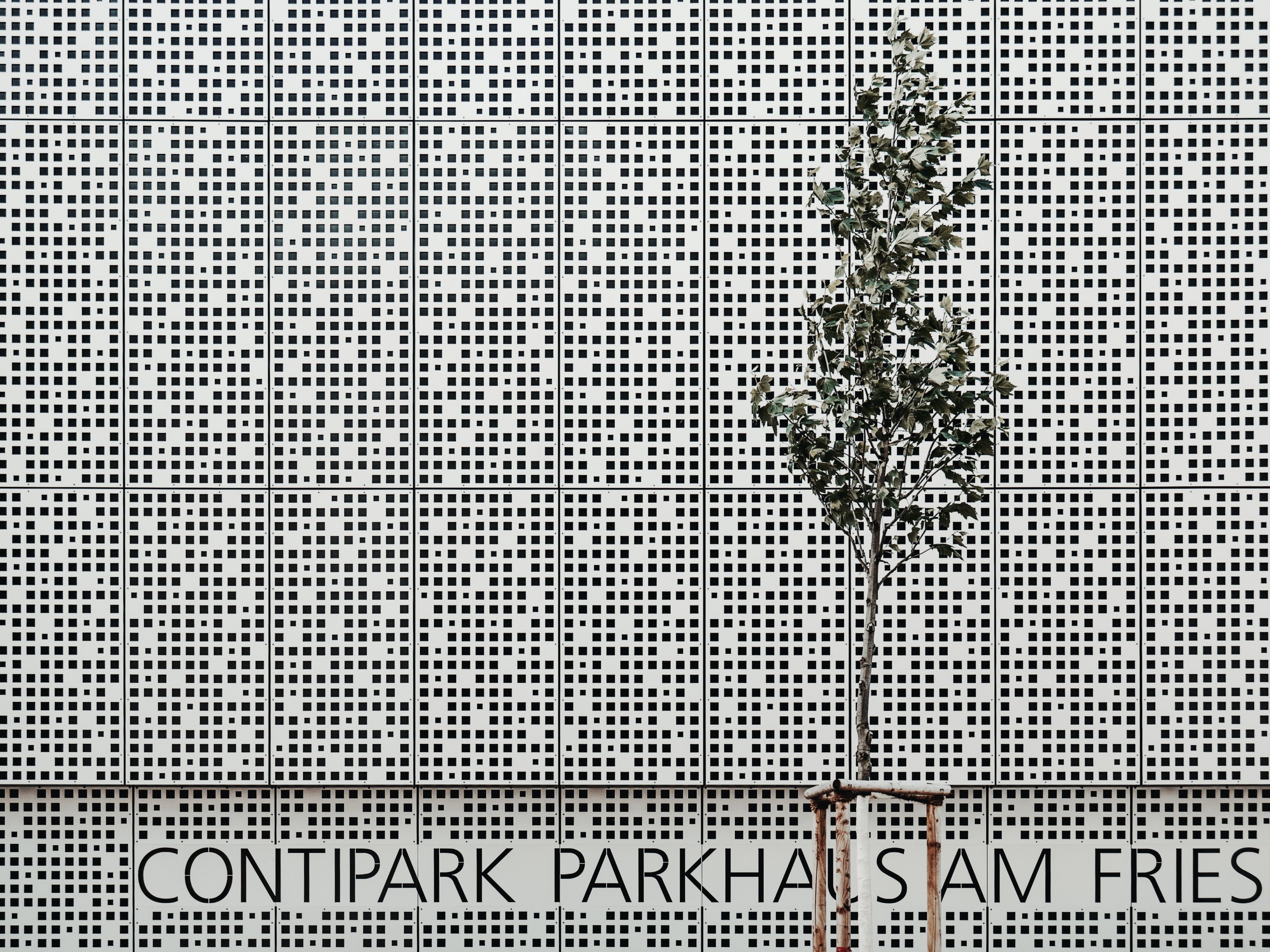 a black and white dotted pattern on a wall in cologne, black dots on a white wall 4k, HD Wallpaper
