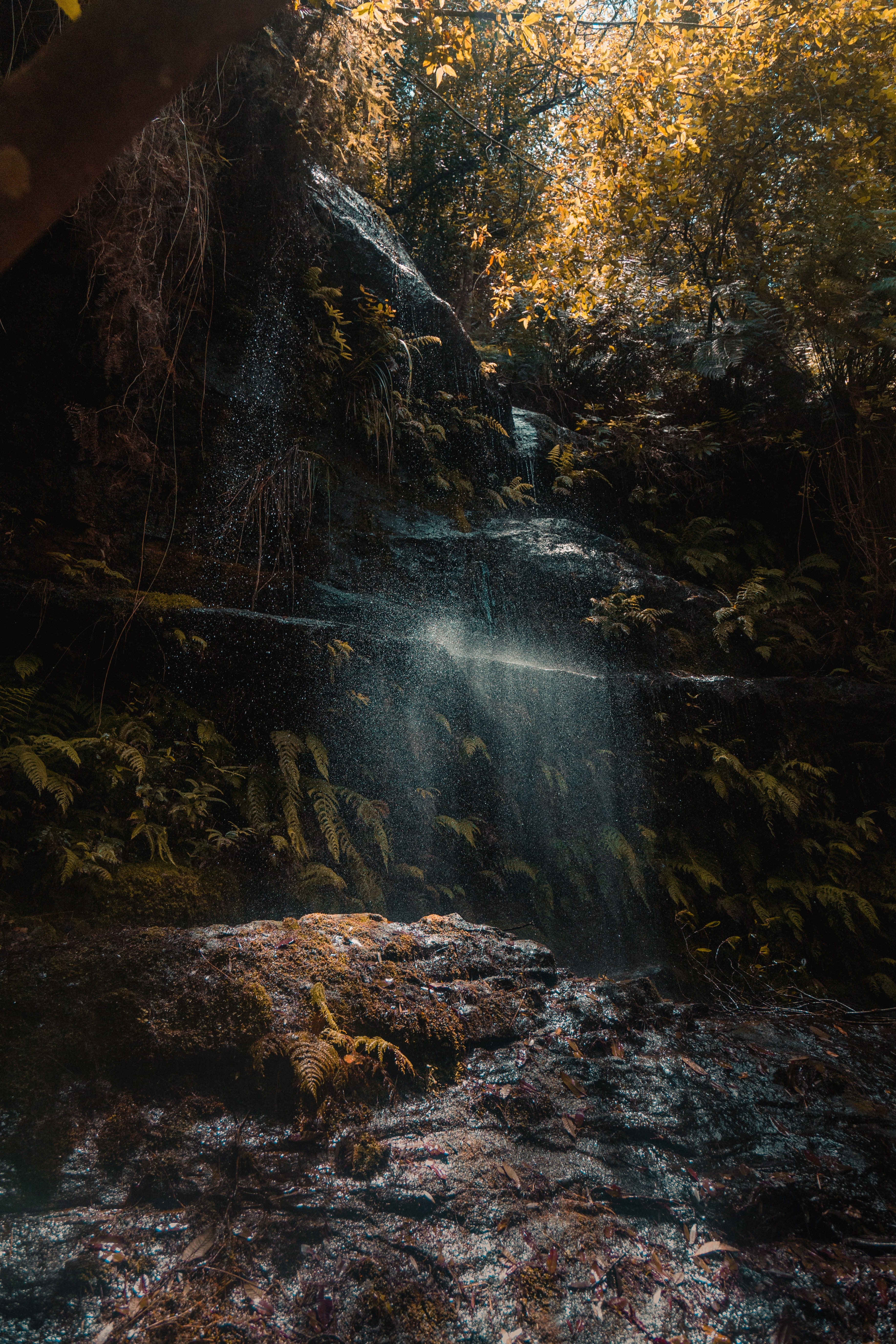 where the sun meets the rain 4k, Phone HD Wallpaper