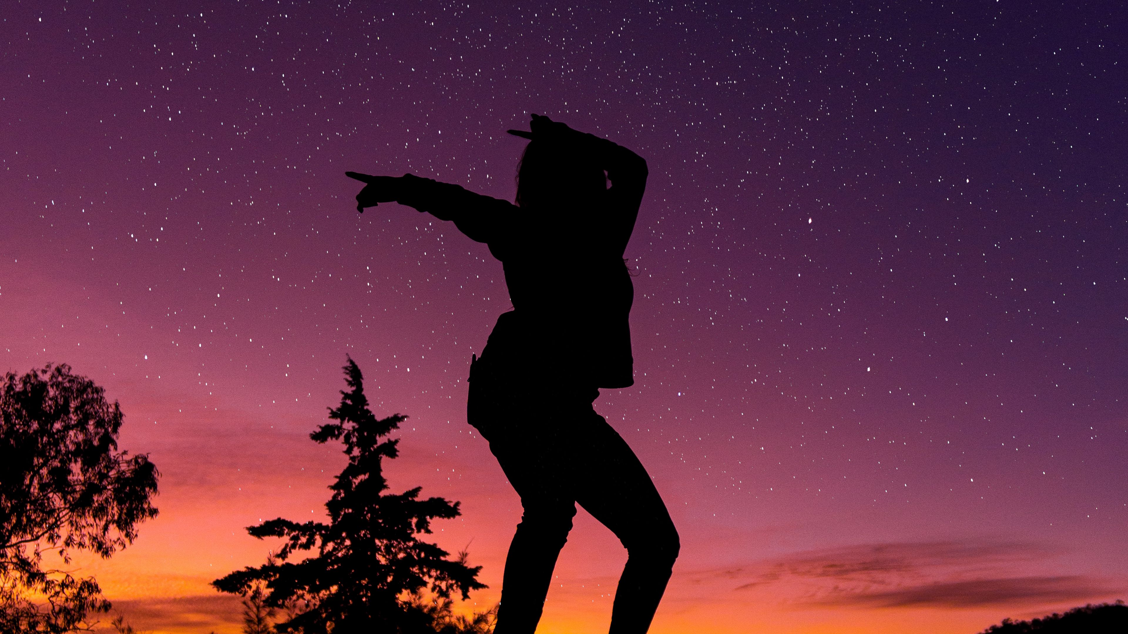 silhouette, starry sky, dark, 4k, HD Wallpaper