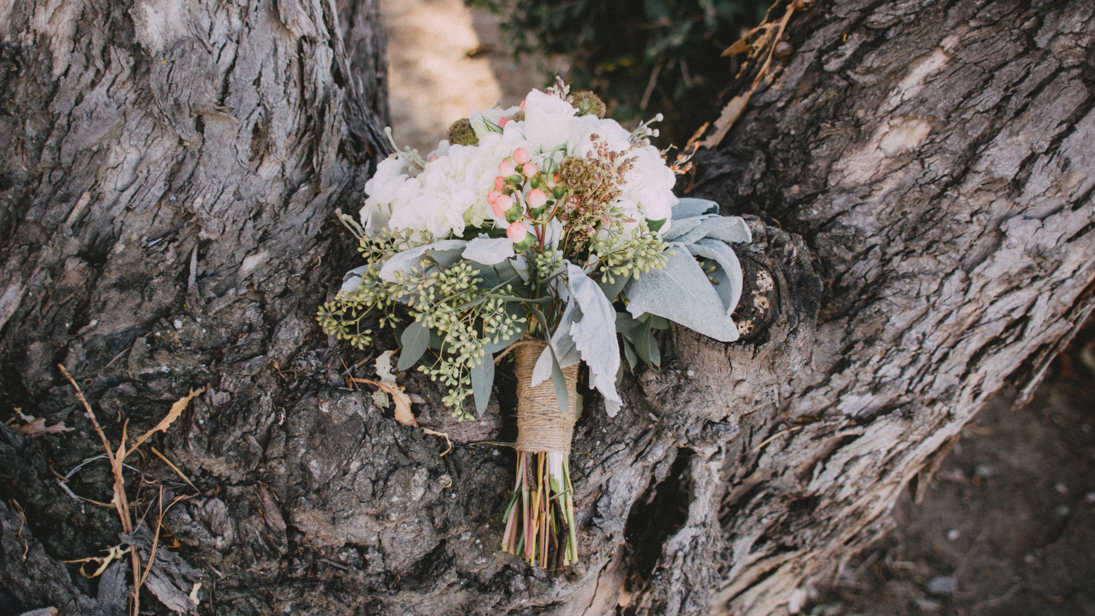 a floral bouquet on a trunk of a large tree, bouquet in a tree 4k, HD Wallpaper