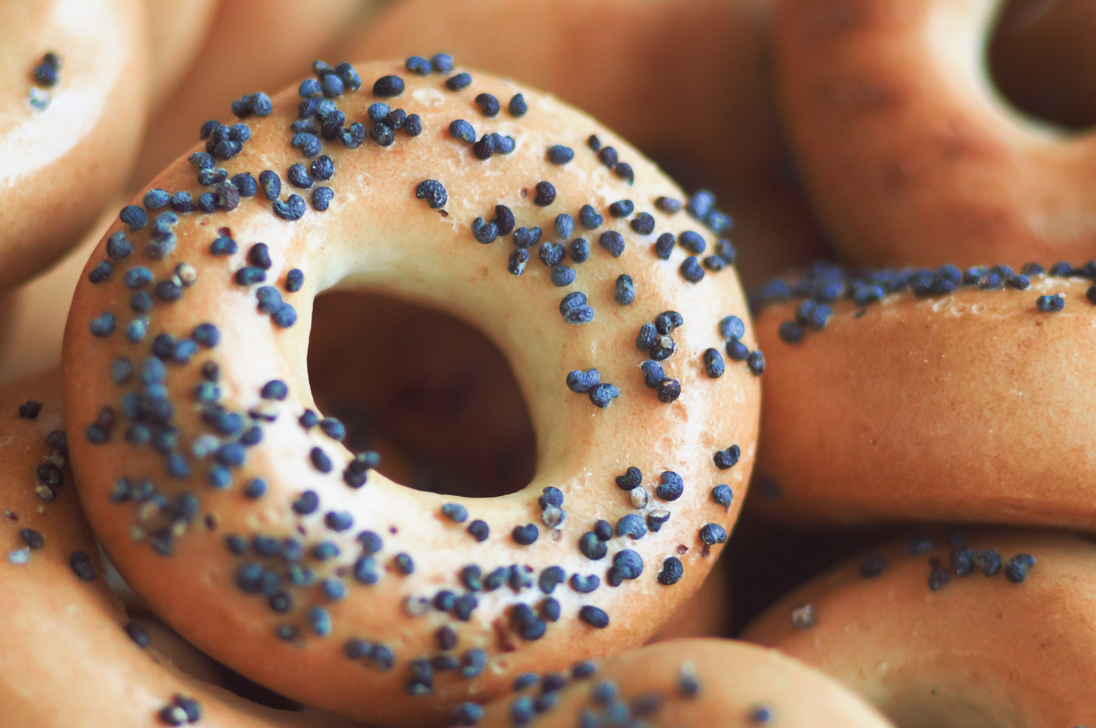 macro shot of poppy seeds in a freshly baked bagel, poppyseed bagel 4k, HD Wallpaper
