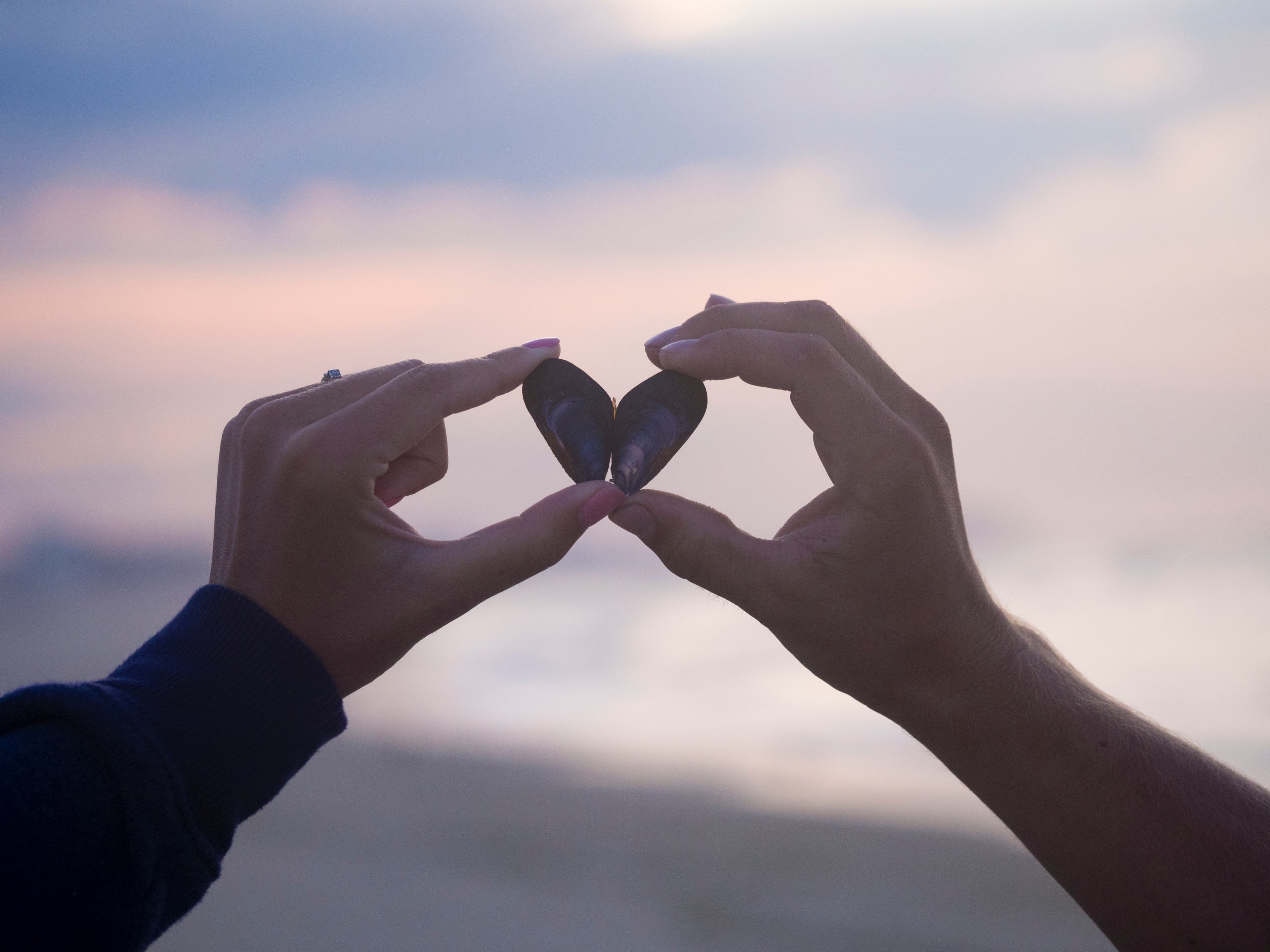 a couple holding two small shells next to each other to form a heart shape, lovers with a shell heart 4k, HD Wallpaper