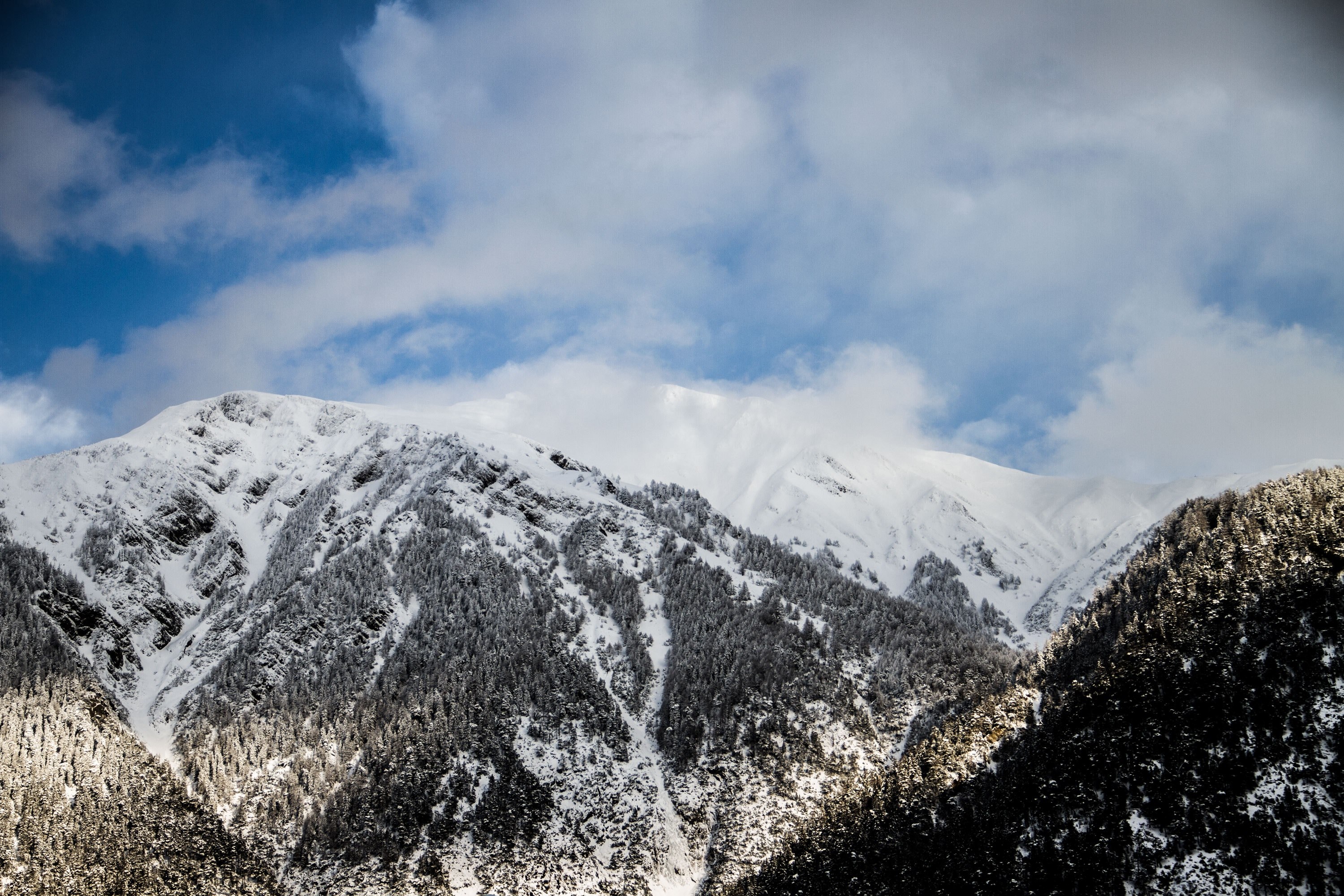 an alpine landscape with evergreen forests covering the snowy slopes, snowy mountains in brig 4k, HD Wallpaper