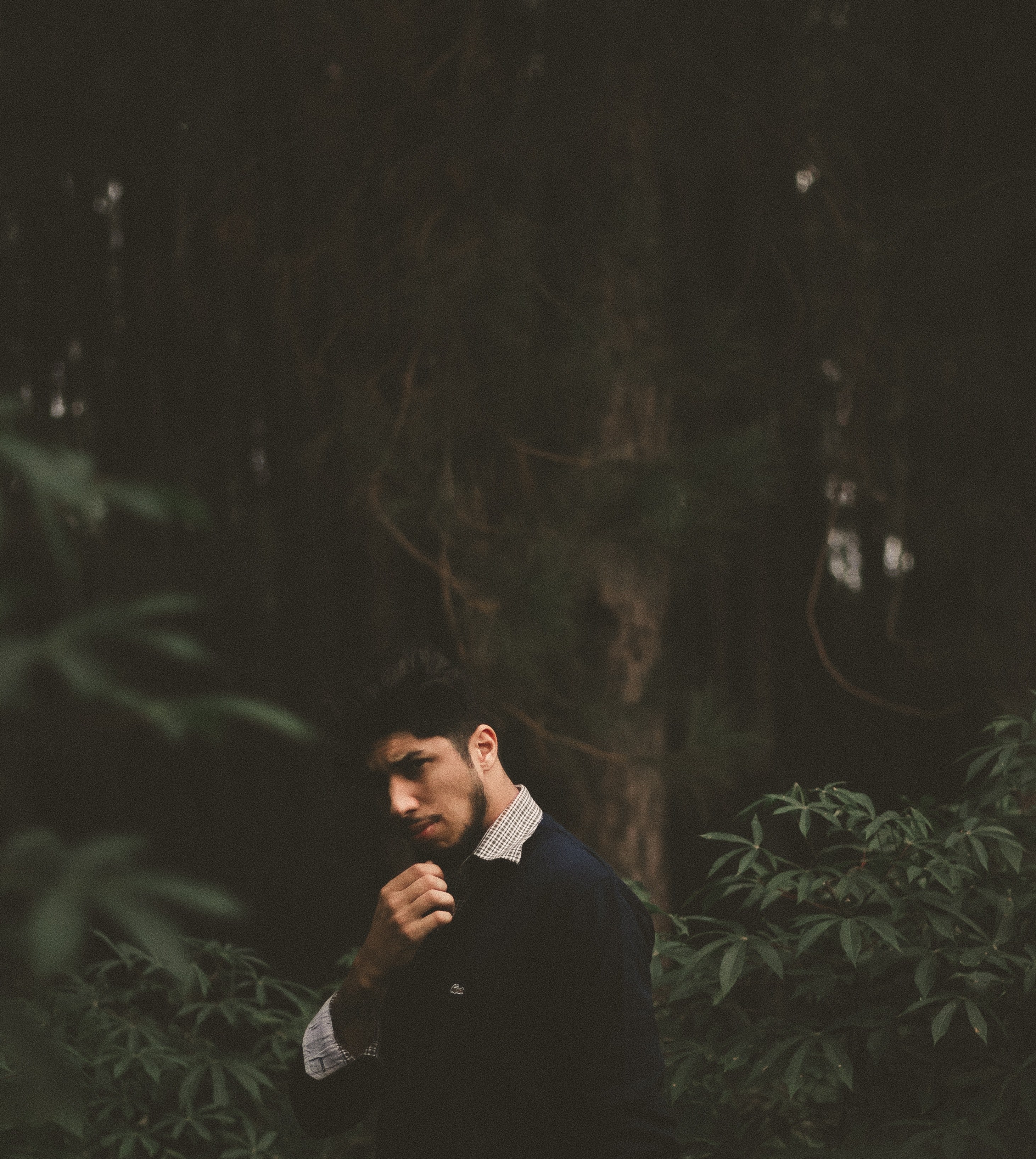 an elegantly dressed man in a forest, sure and certain_ 4k, Phone HD Wallpaper