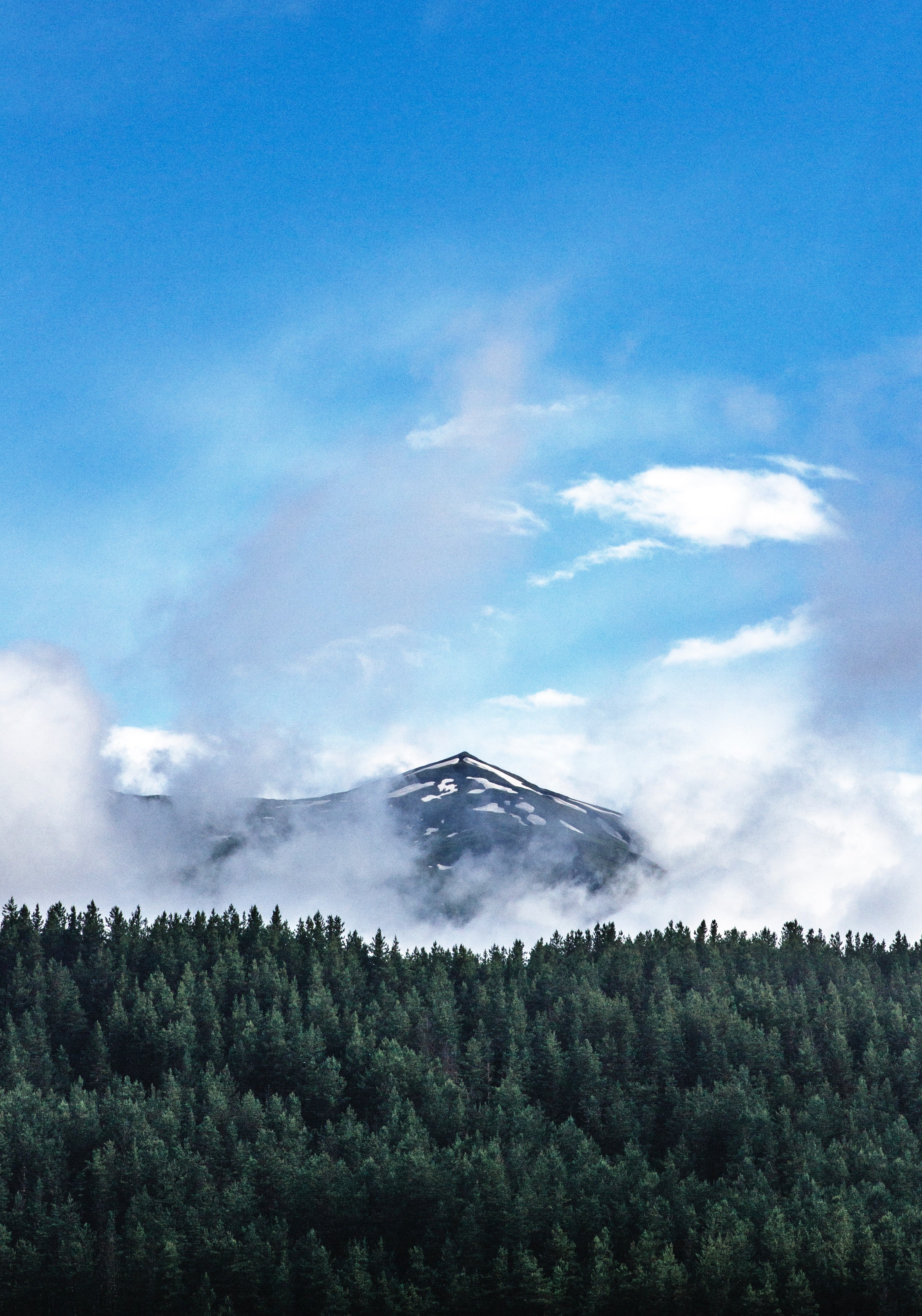 clouds rising up from a snowy mountain peak over a spruce forest in tusheti nature reserve, mountain peak under clouds 4k, Phone HD Wallpaper