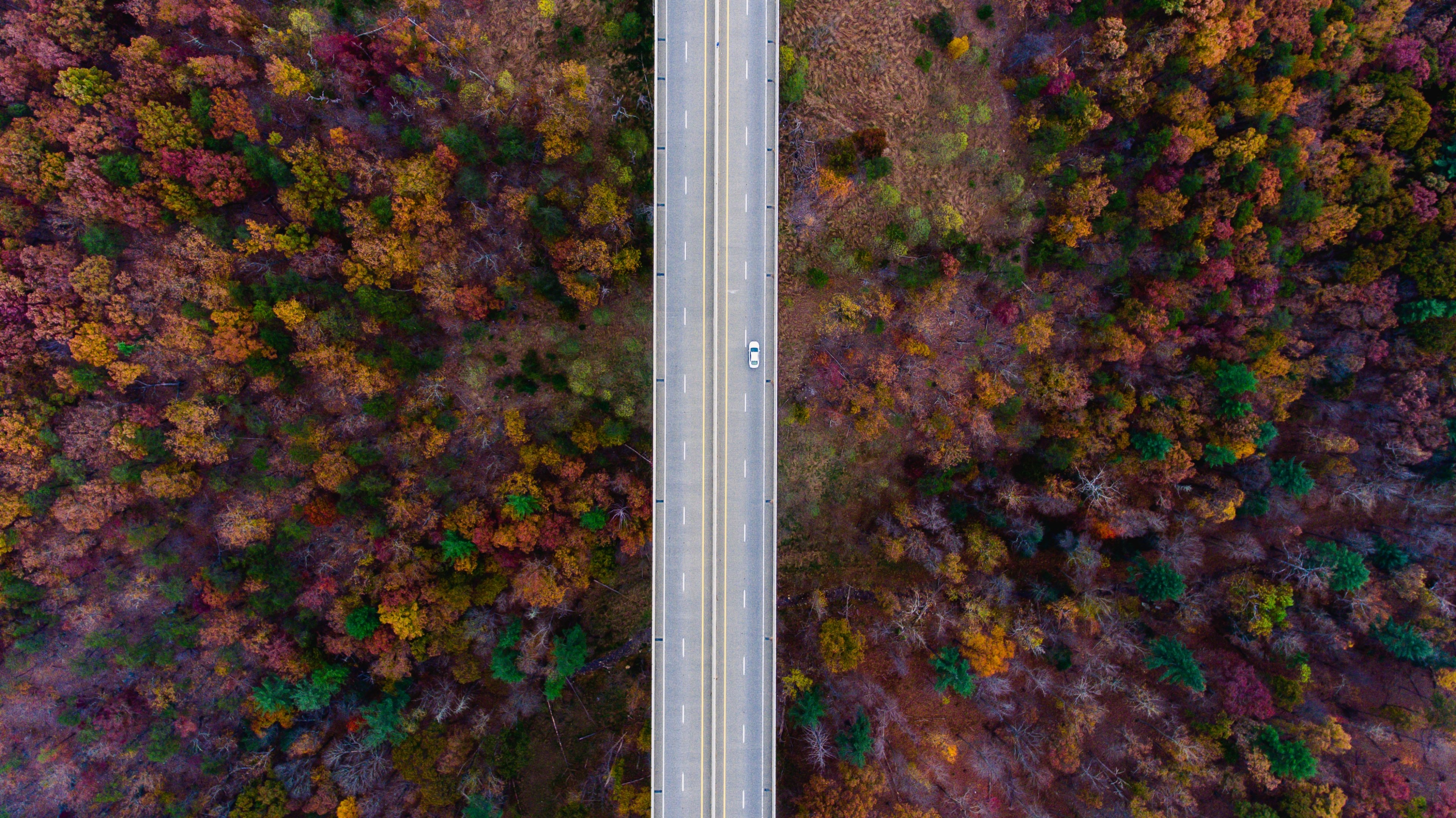 lone car driving on a countryside road in autumn, fall roadtrip 4k, HD Wallpaper