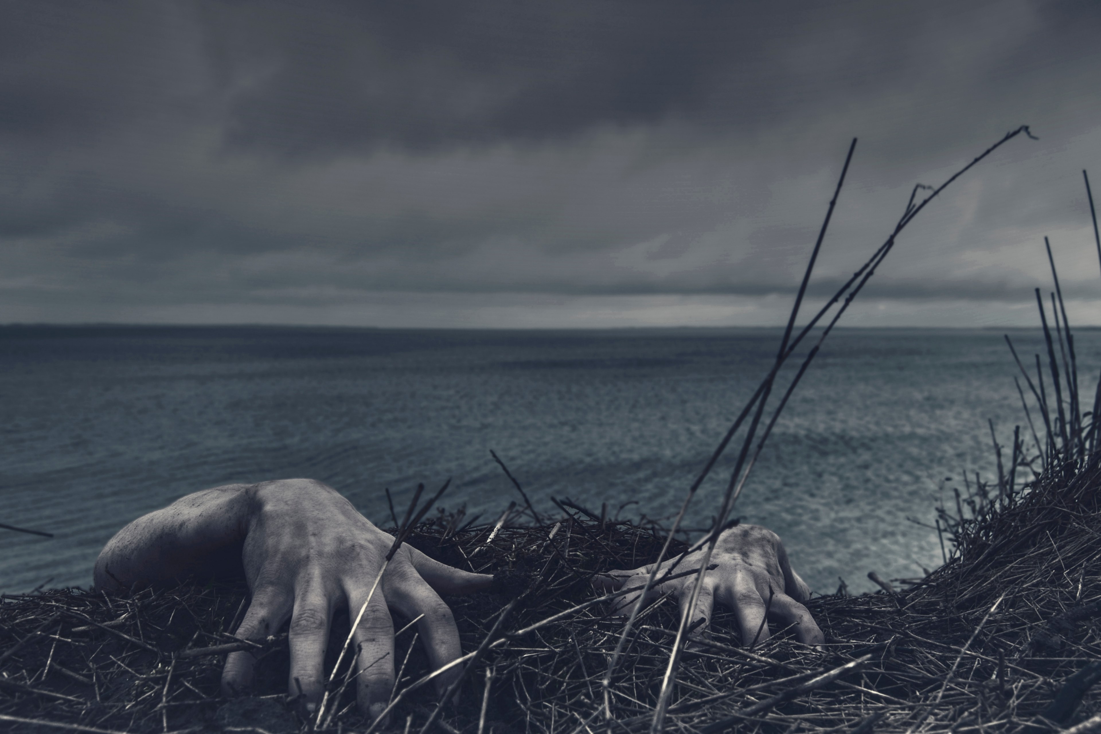 hands reaching onto the edge of a field where it drops off into the ocean, _climbing up from ocean 4k, HD Wallpaper