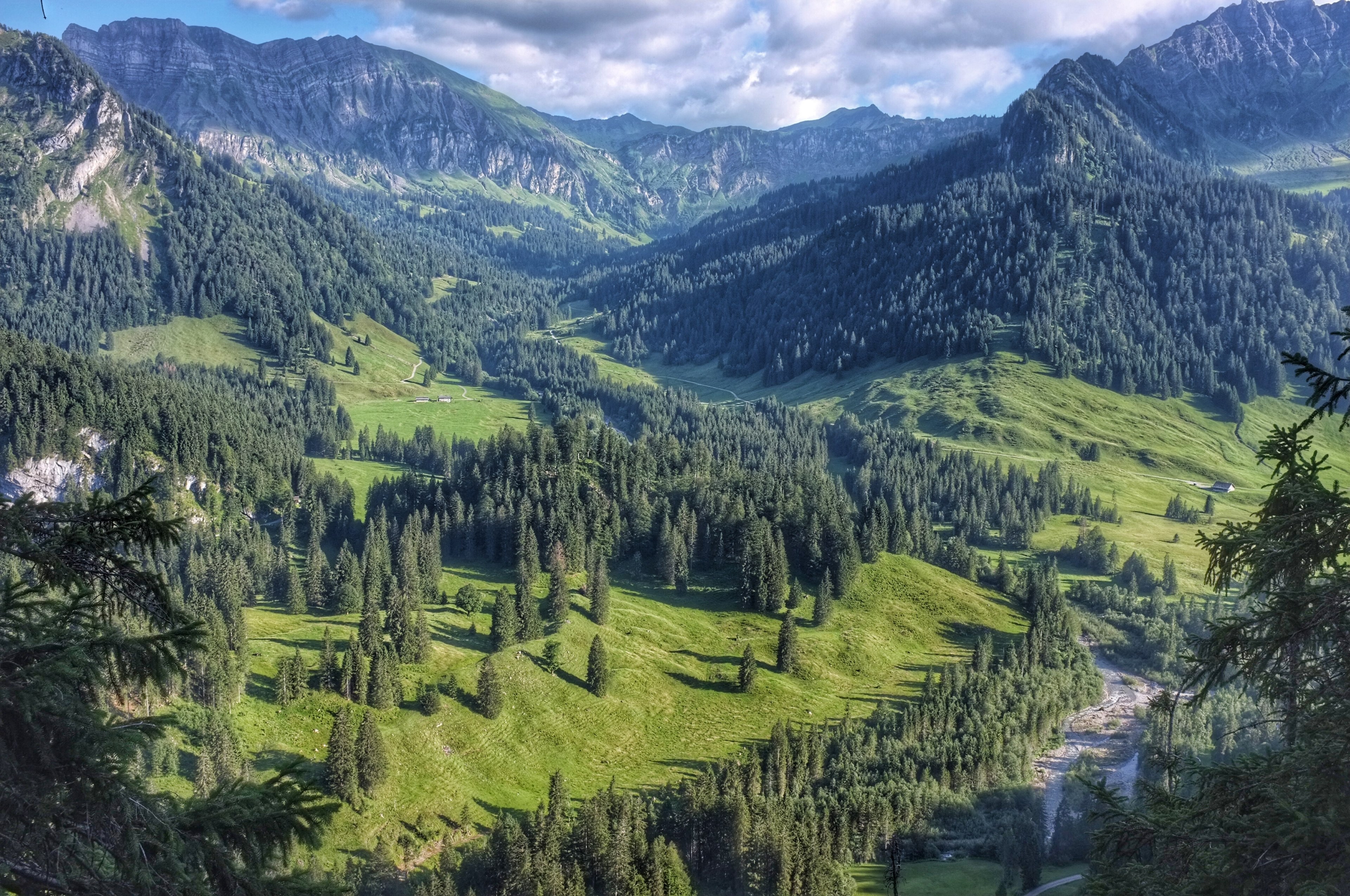 a wooded mountain valley in schnenbach, forested mountain valley 4k, HD Wallpaper