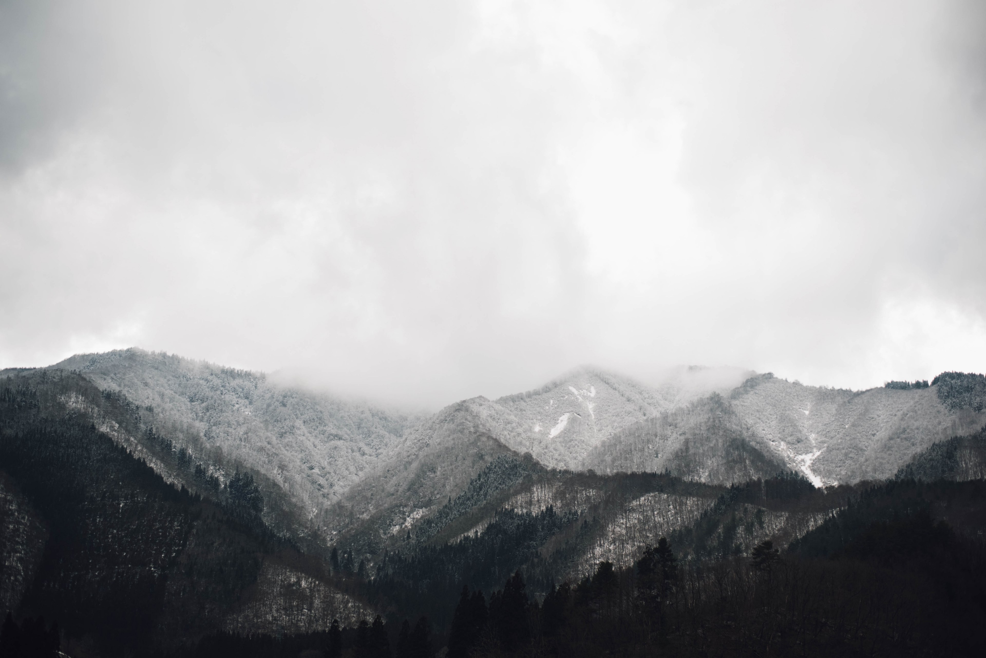 wooded mountain slopes on a gray day, gray slopes 4k, HD Wallpaper