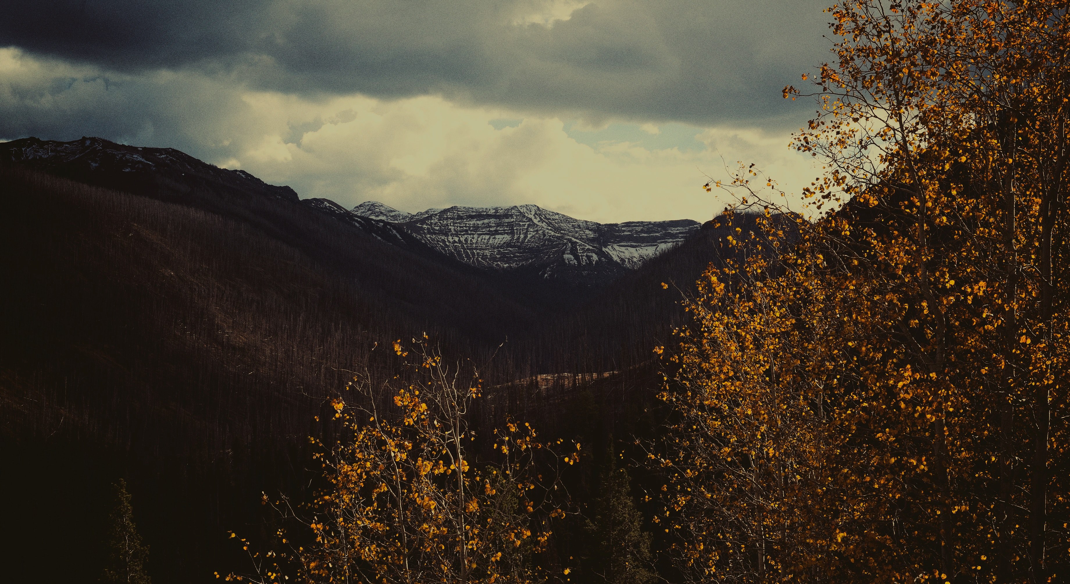 a view through autumn branches on the snow capped mountains in the distance, snowy mountains in autumn 4k, HD Wallpaper