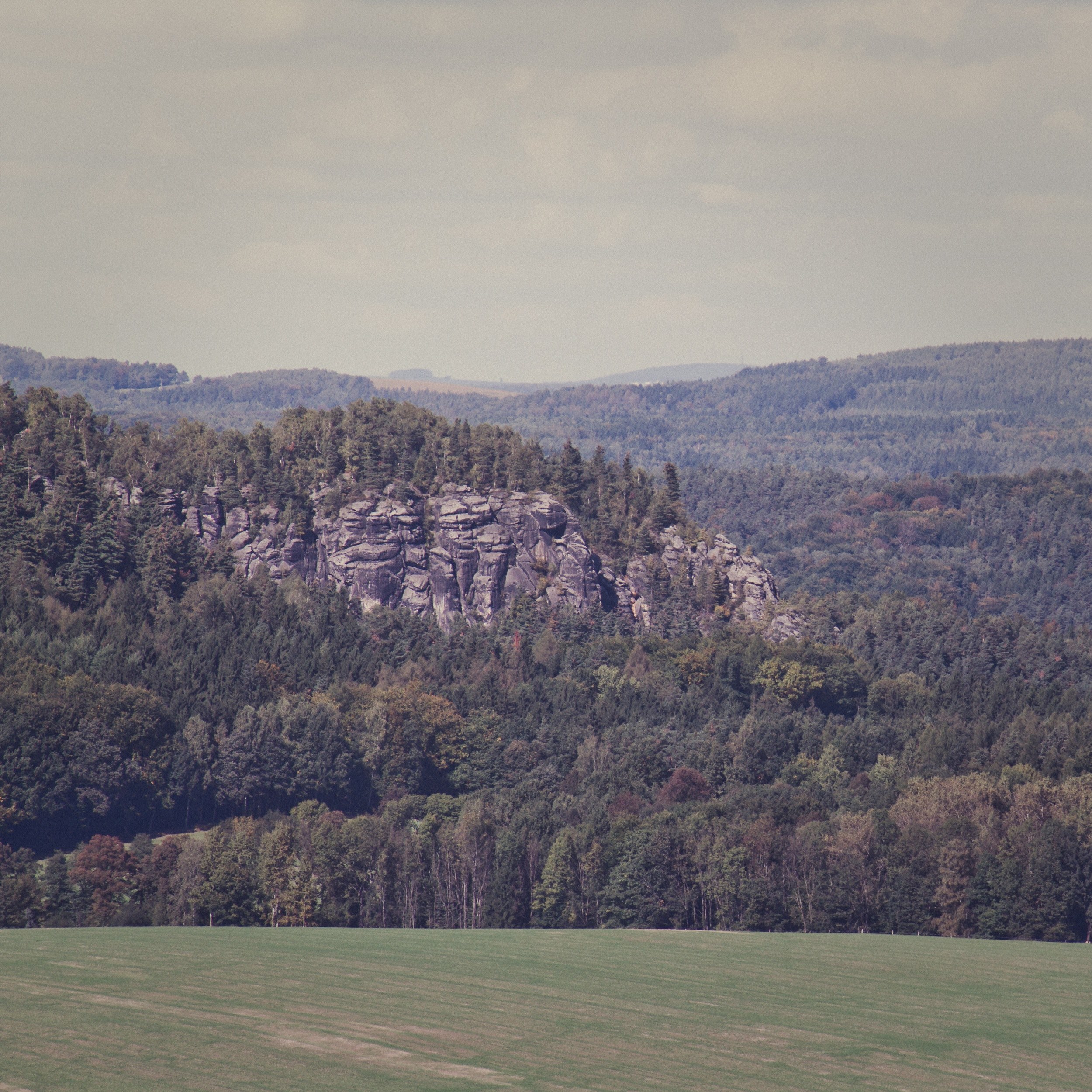 trees growing on a jagged rock formation surrounded by dense woods, trees on jagged rocks 4k, HD Wallpaper