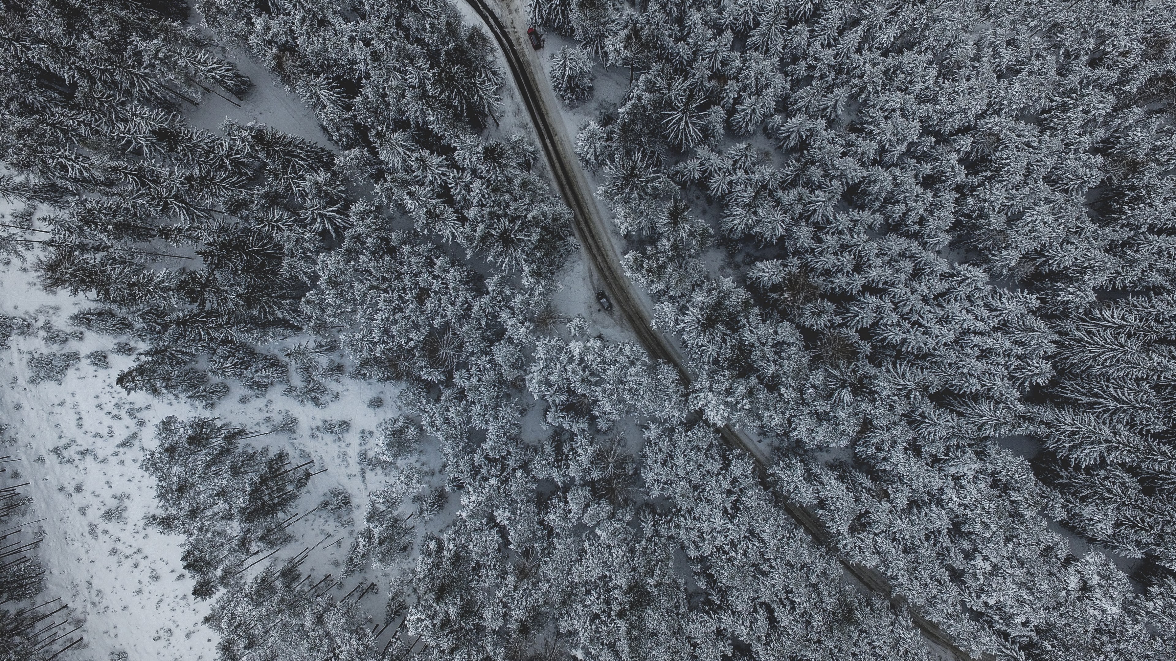 country road winds through a snowy forest landscape, look up 4k, HD Wallpaper