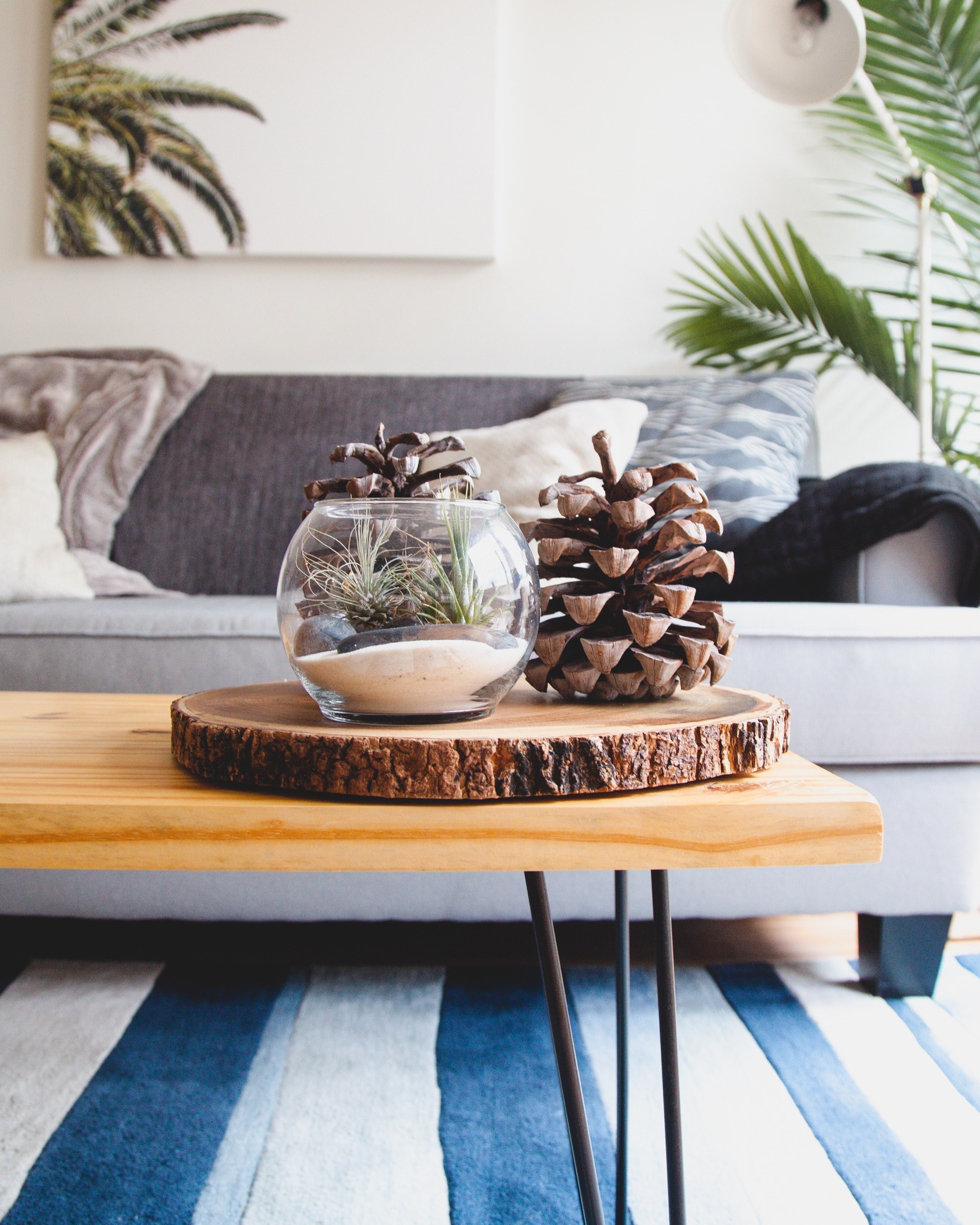 a couch with throw pillows and blankets and a table with an aquarium filled with pinecones on top of it, cleaning up at noon 4k, Phone HD Wallpaper