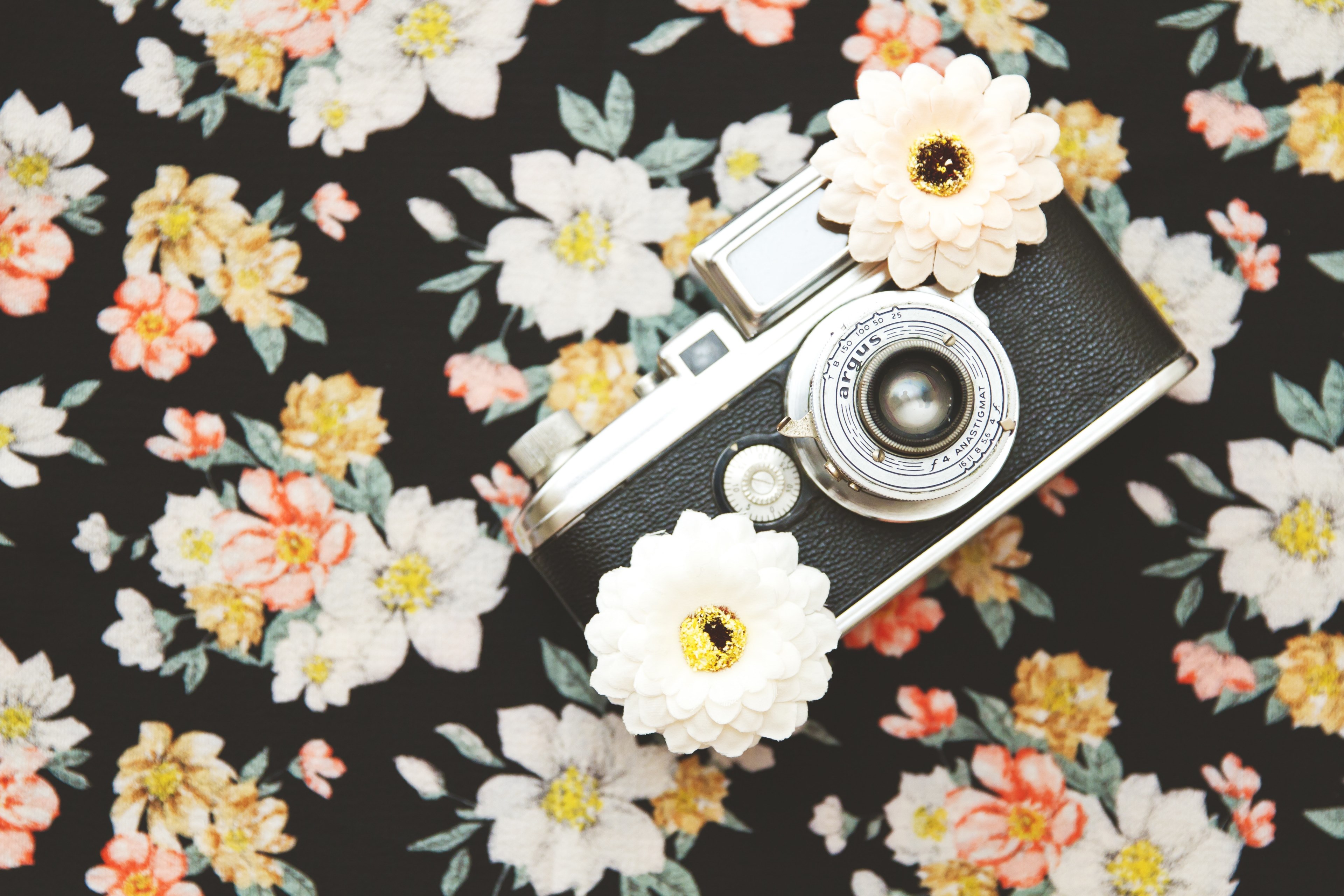 floral camera floral pattern and vintage camera 4k, HD Wallpaper