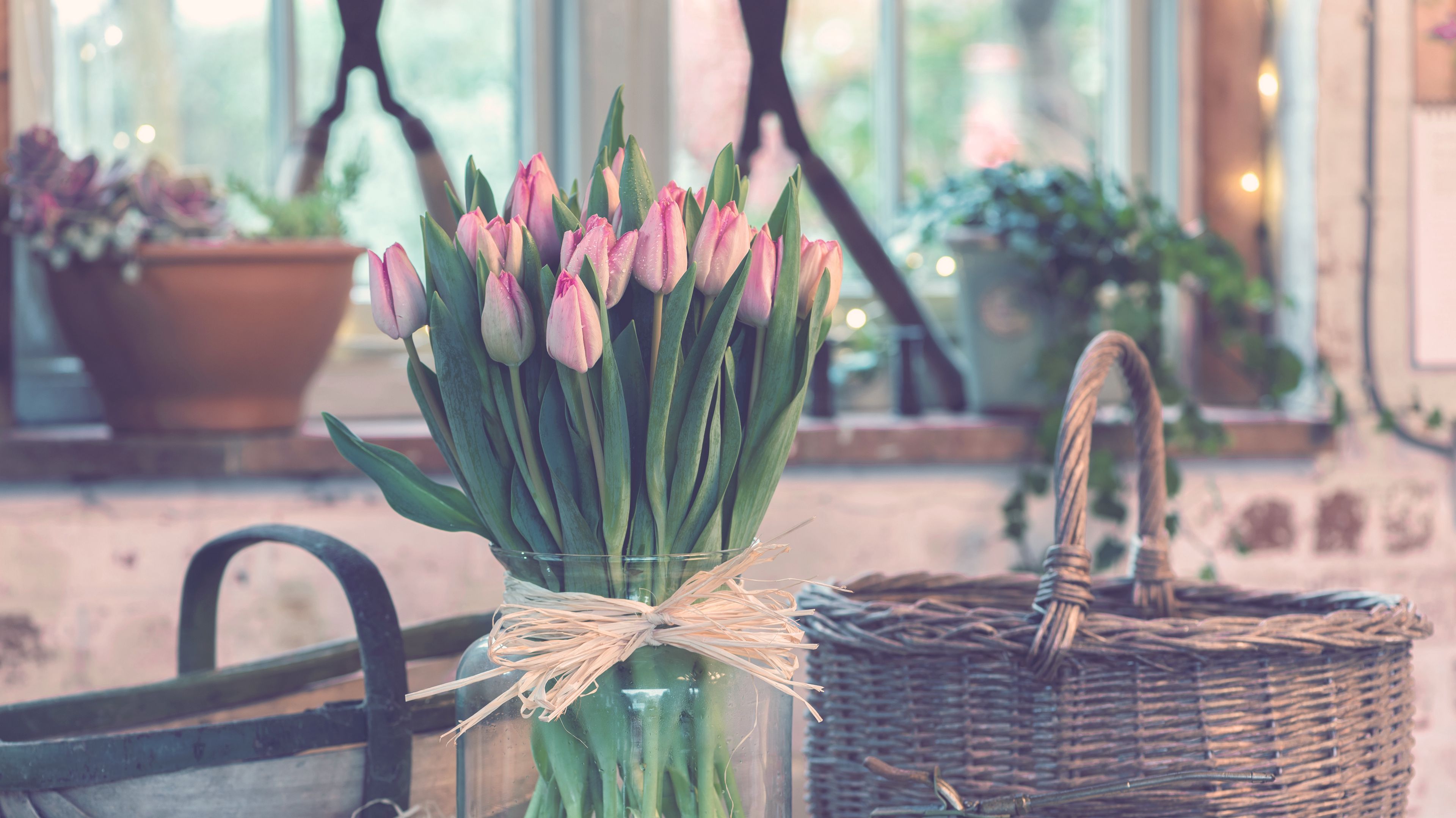 tulips, bouquet, vase, 4k, HD Wallpaper