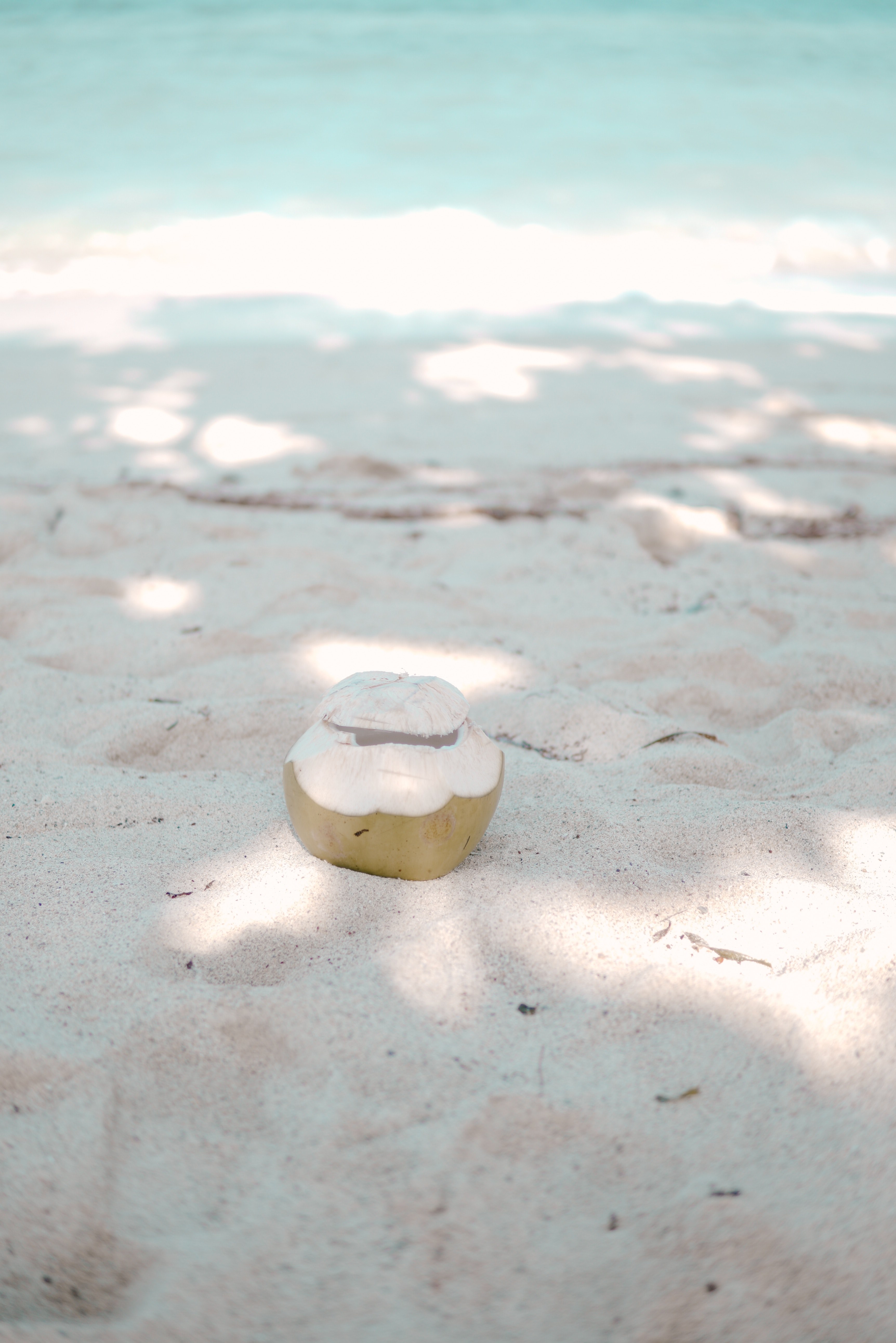 coconut 4k, Phone HD Wallpaper