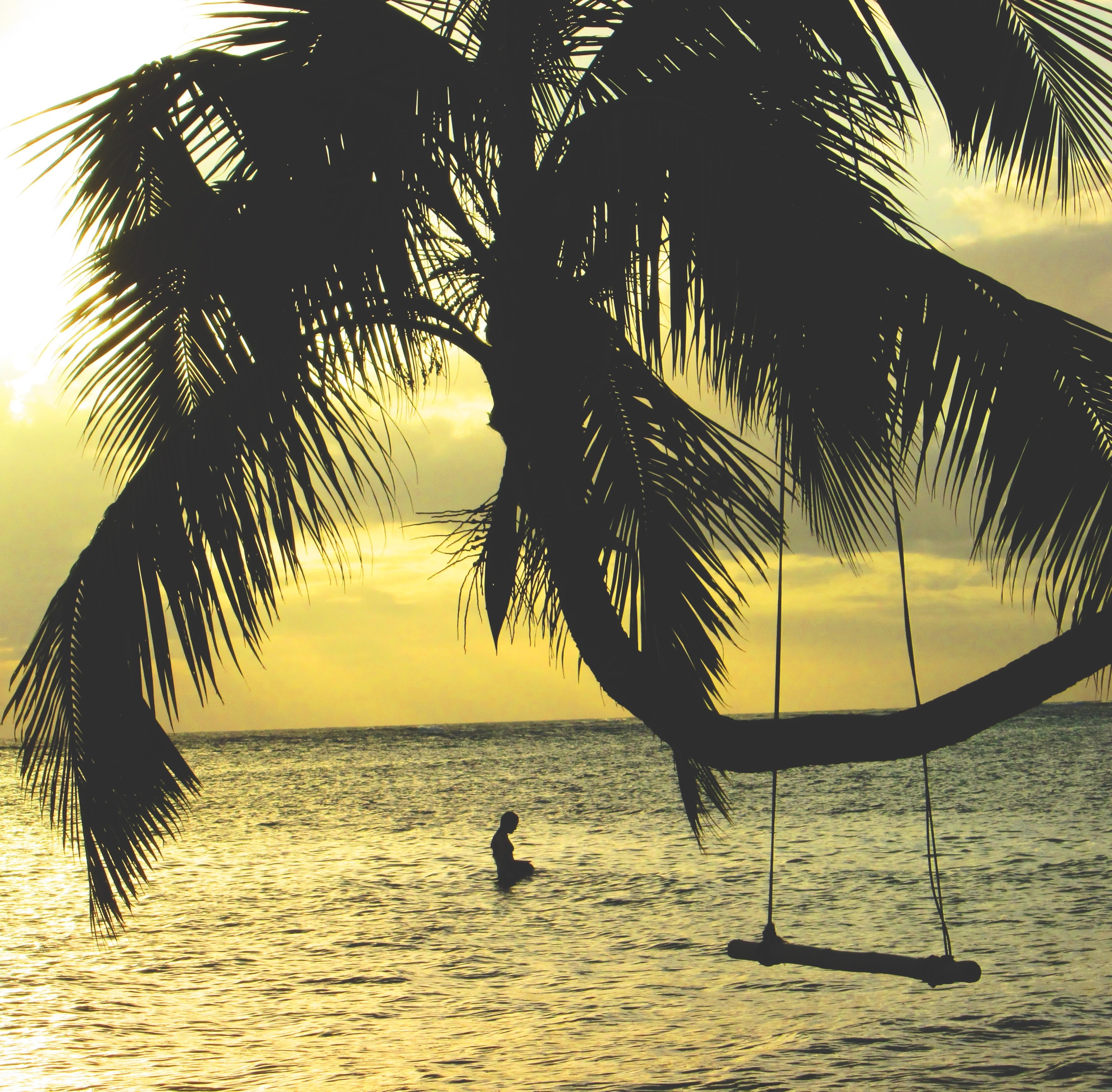 a silhouette of a person in the sea near a swing on a palm tree during sunset, seaside swing at dusk 4k, HD Wallpaper