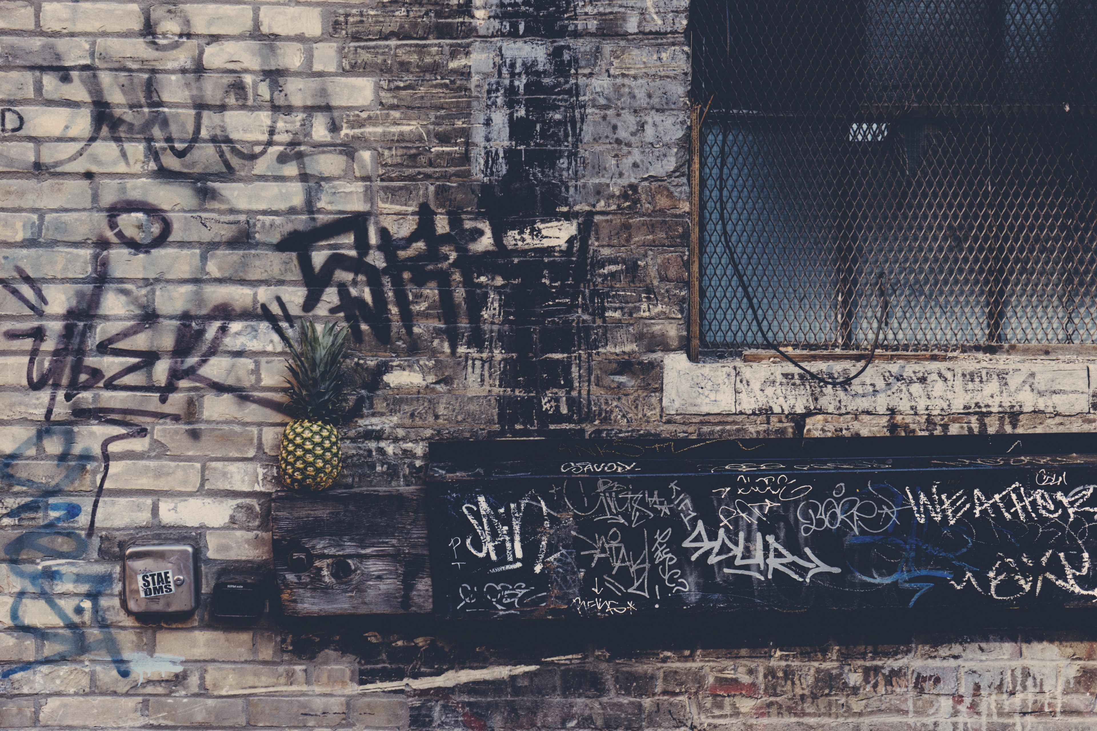 a small pineapple against the brick wall of a building filled with graffiti, _pineapple and graffiti 4k, HD Wallpaper