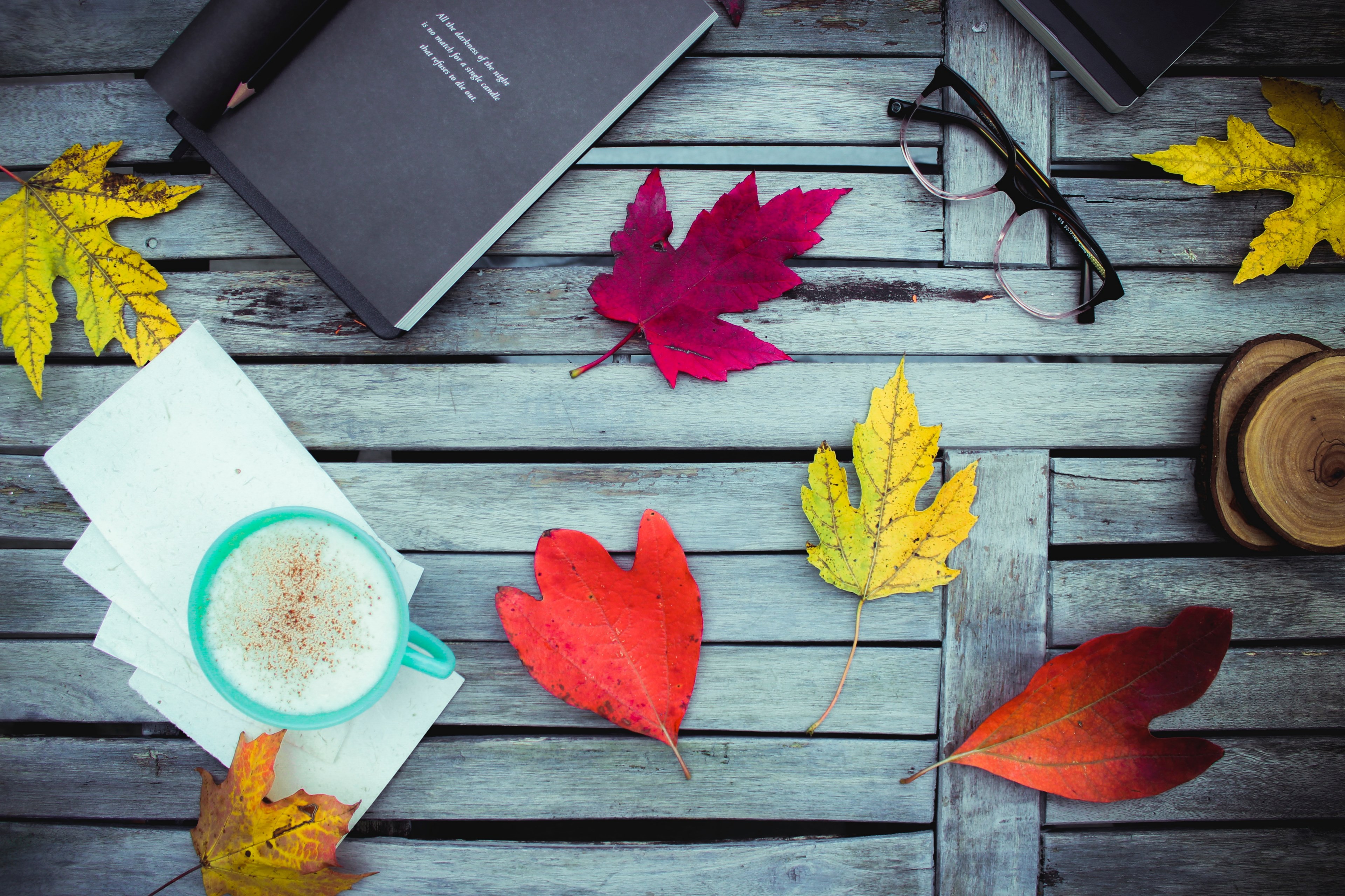 journaling and reading poetry as the leaves fall 4k, HD Wallpaper