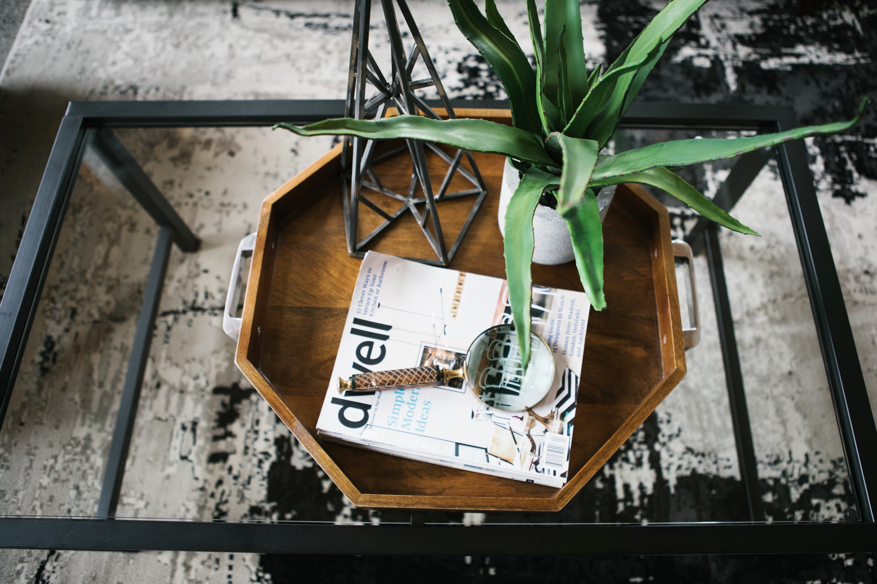 a tray magazine magnifying glass aloe plant and sculpture on a glass table in portland, portland interior table 4k, HD Wallpaper