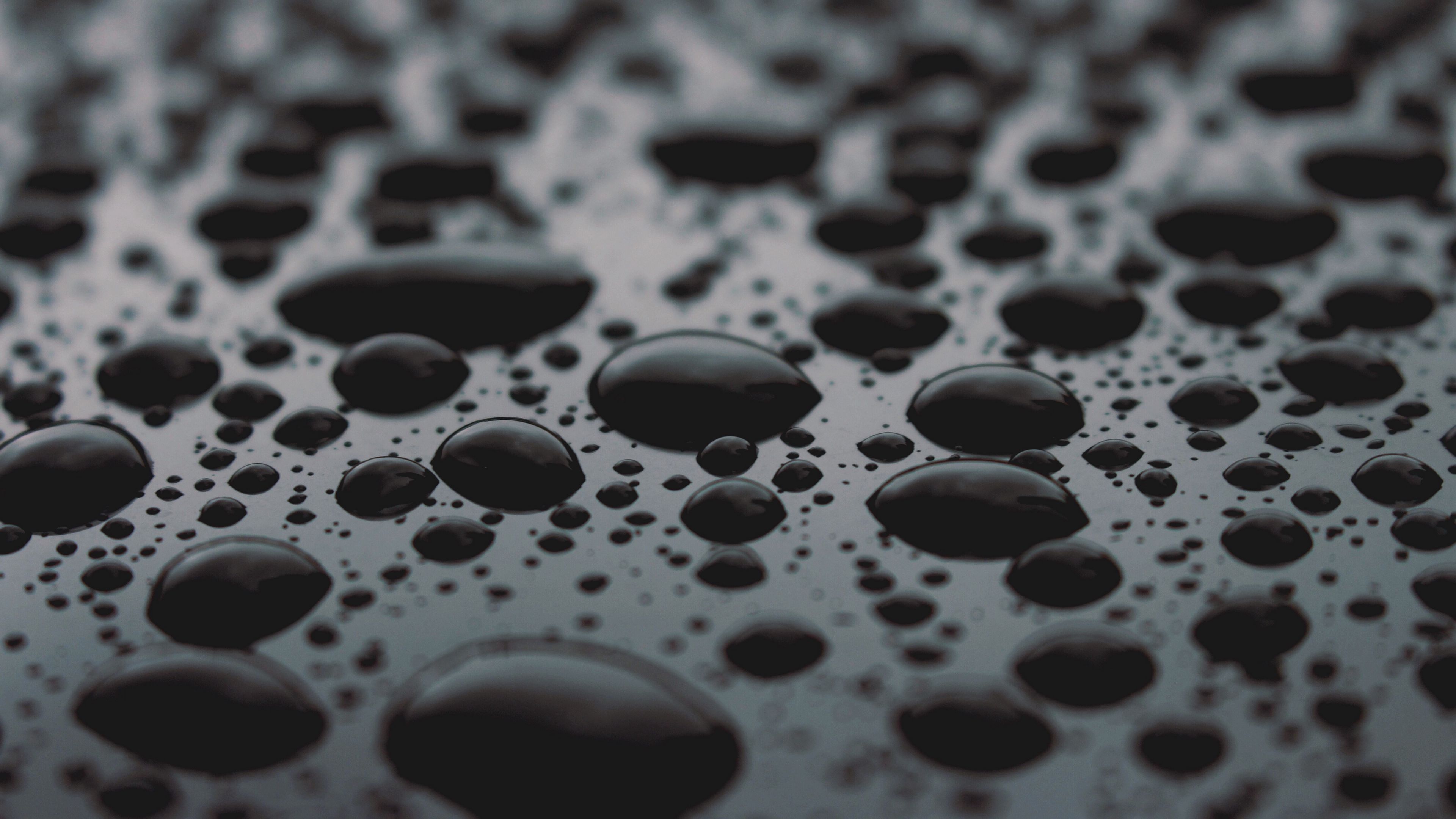 drops, surface, close-up, black, 4k, HD Wallpaper